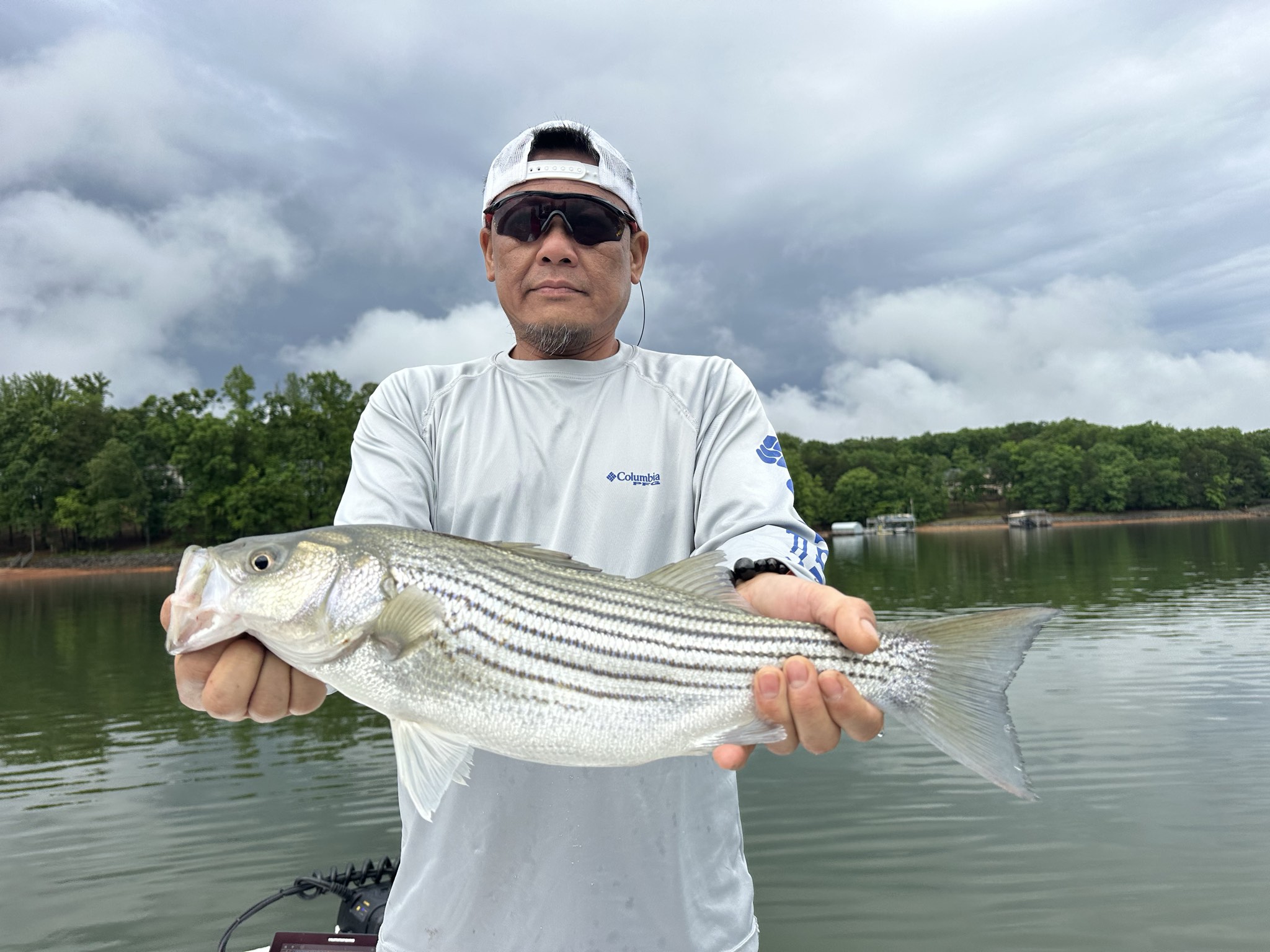 Lake Lanier May Striped Bass Success
