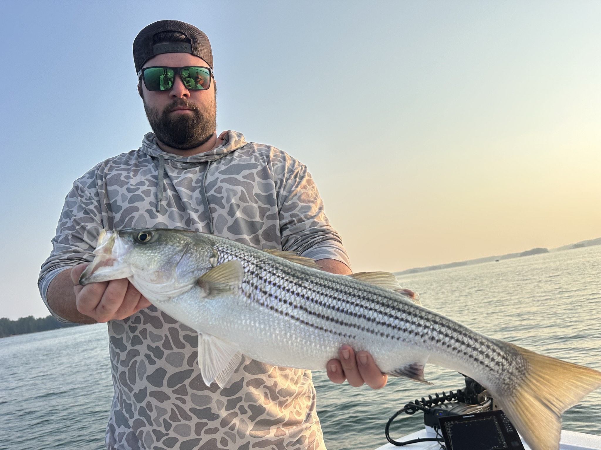 Striped And Spotted Bass Lake Lanier July