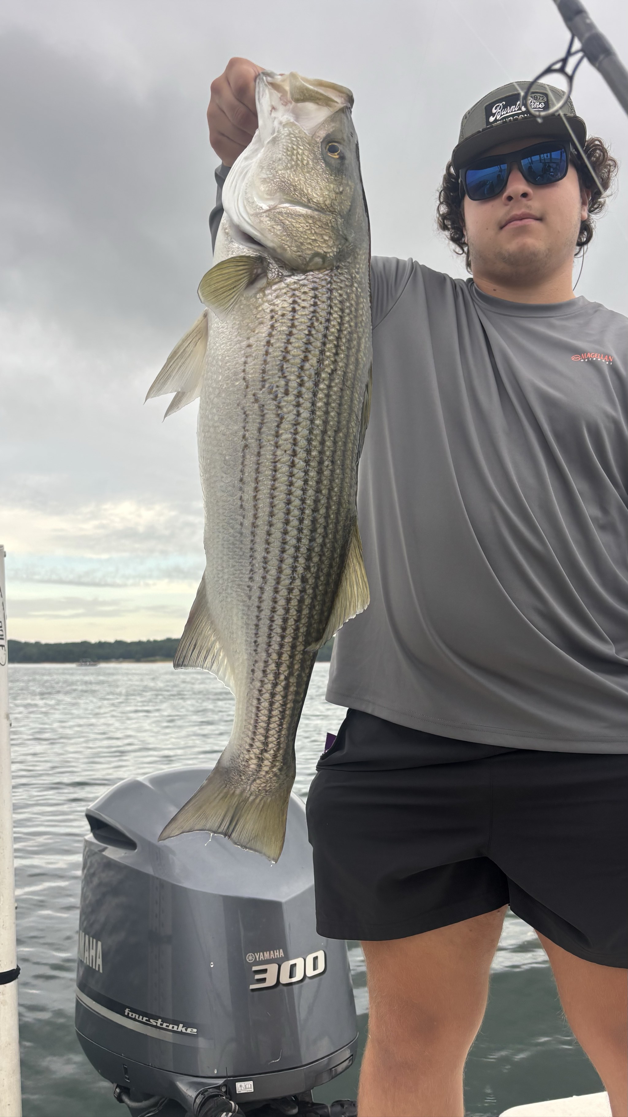 Trophy Stripers Heat Up Lake Lanier