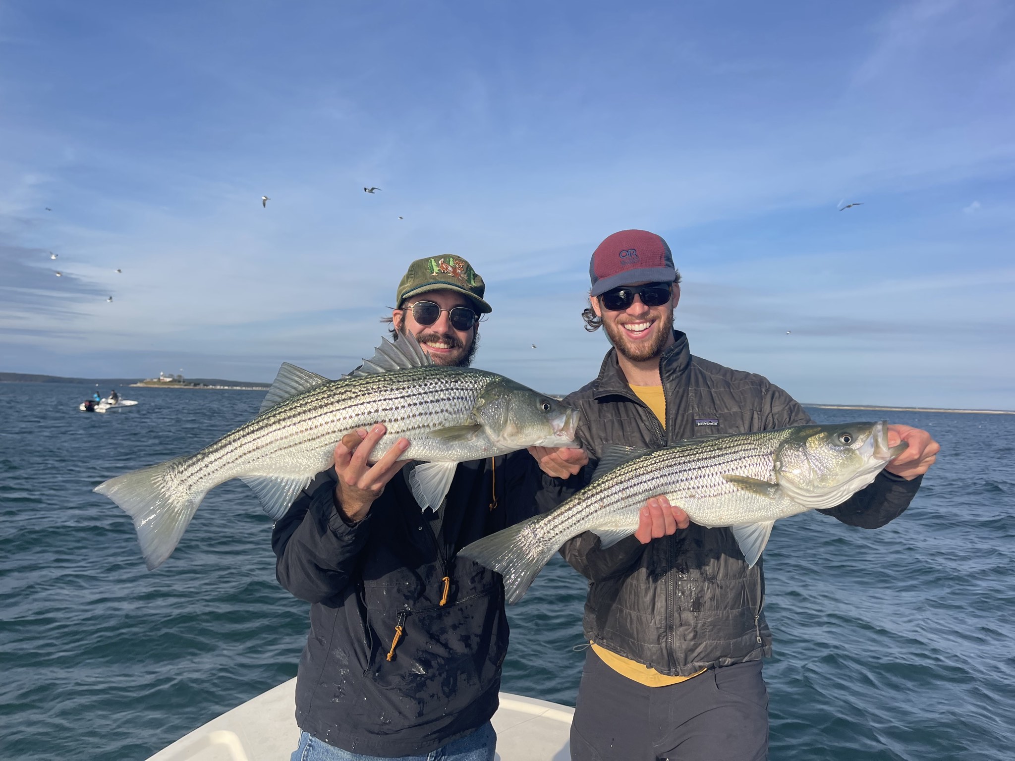 Seven Species Day Off Boston