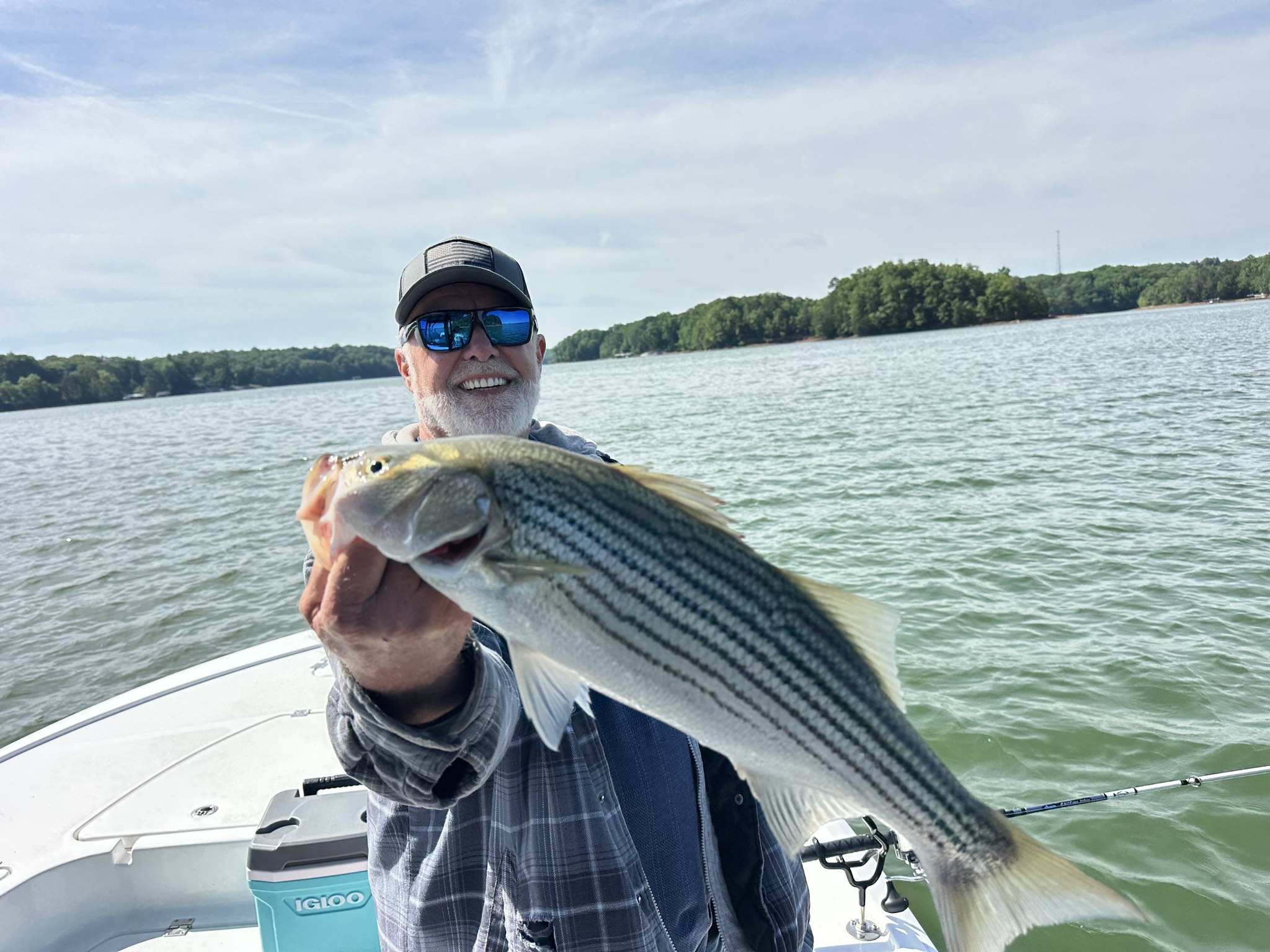 Striped Bass — May 2026