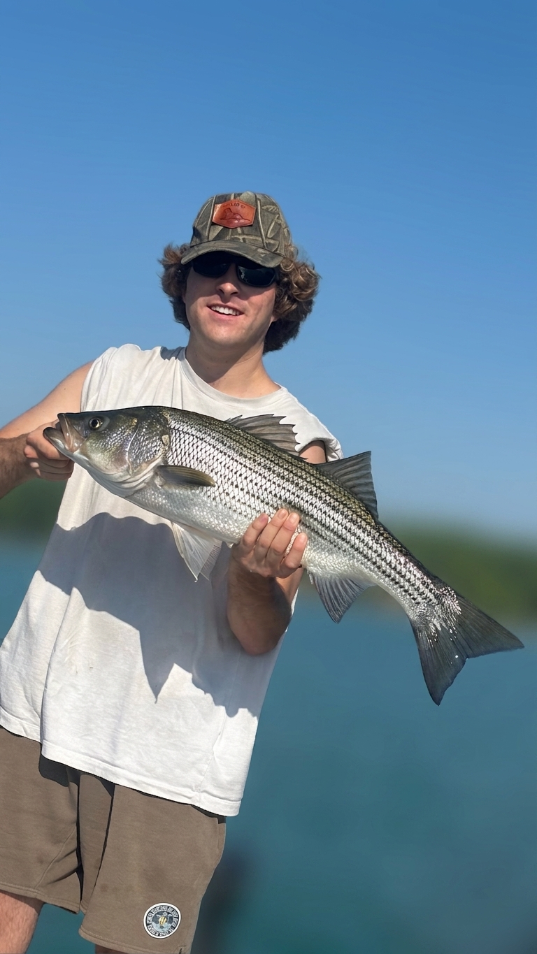 Striped bass caught on Lake Lanier, Sept 5, 2026