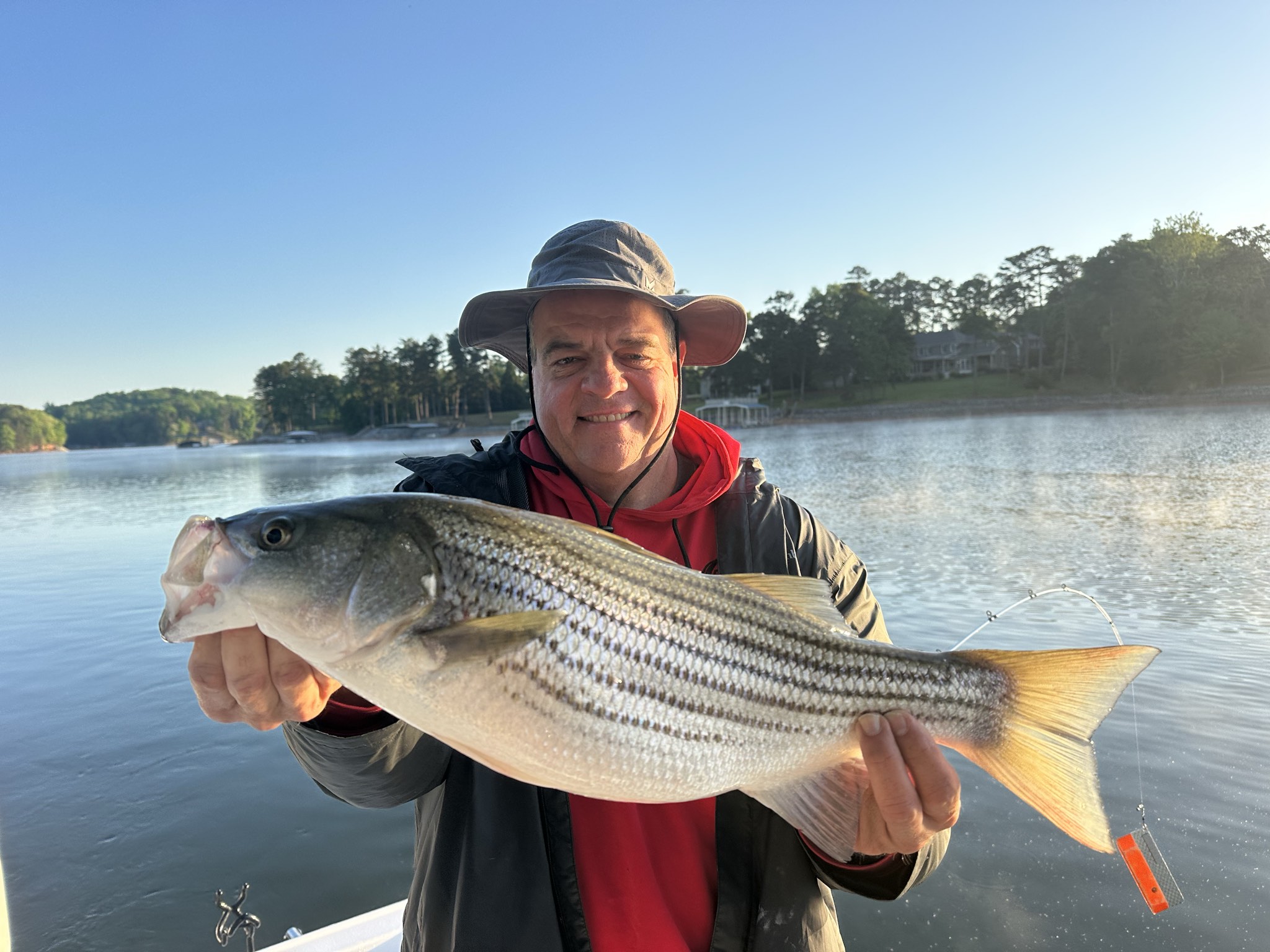 Striped Bass And Spotted Bass On Lake Lanier