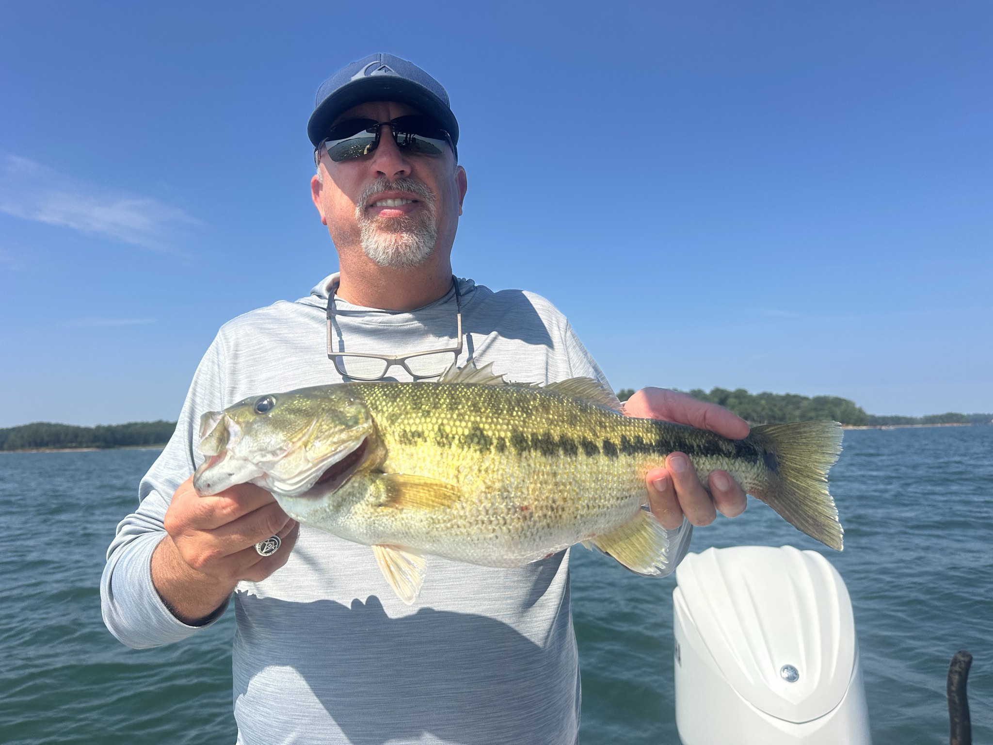 Striped And Spotted Bass Lake Lanier