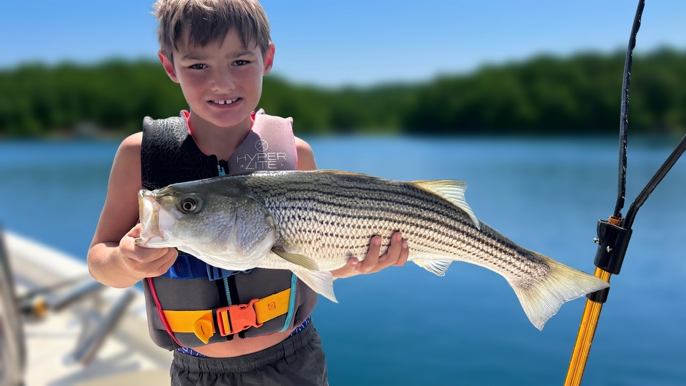 Sunset Bass Action On Lake Lanier