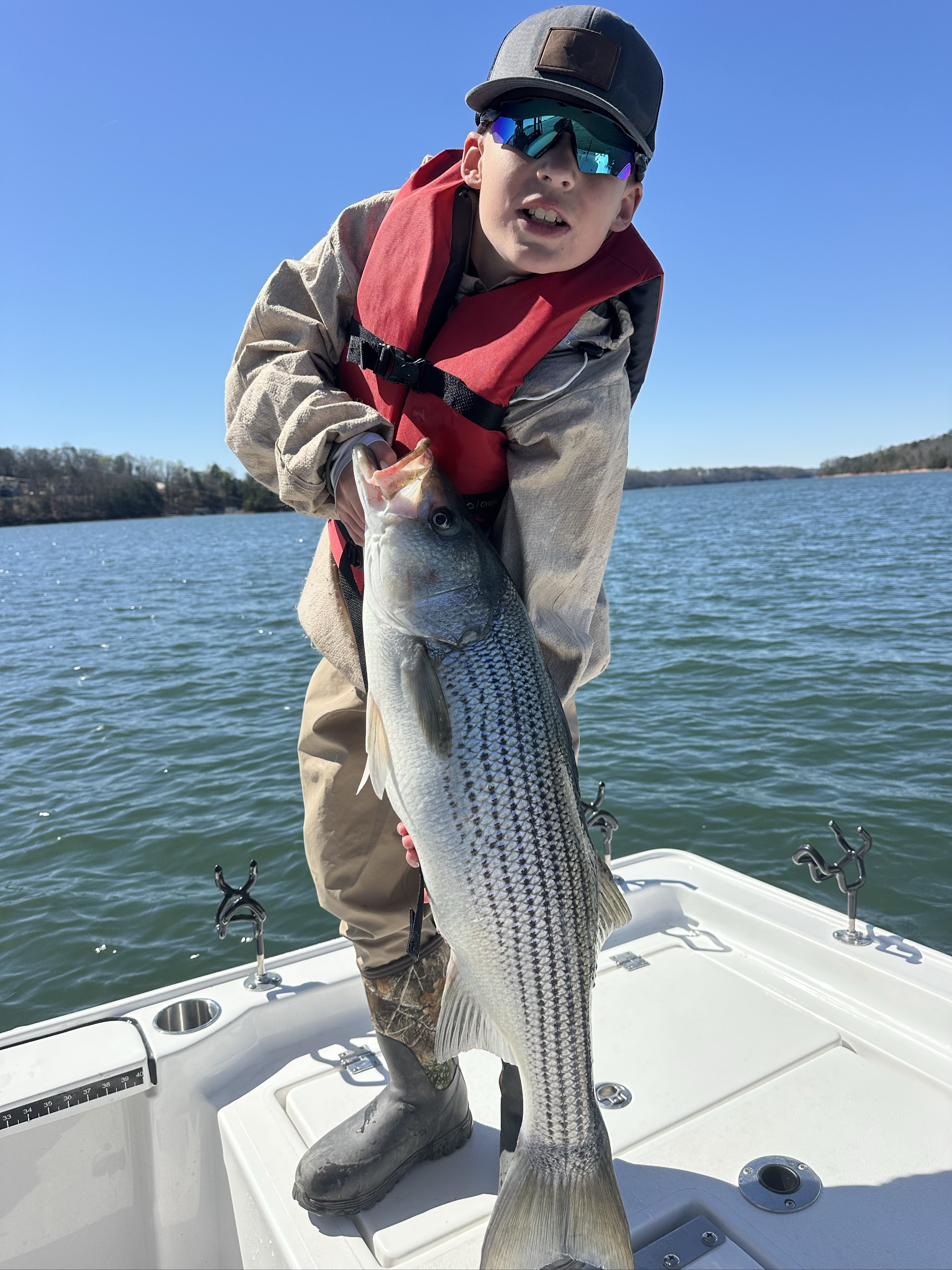 Striped Bass — March 2026