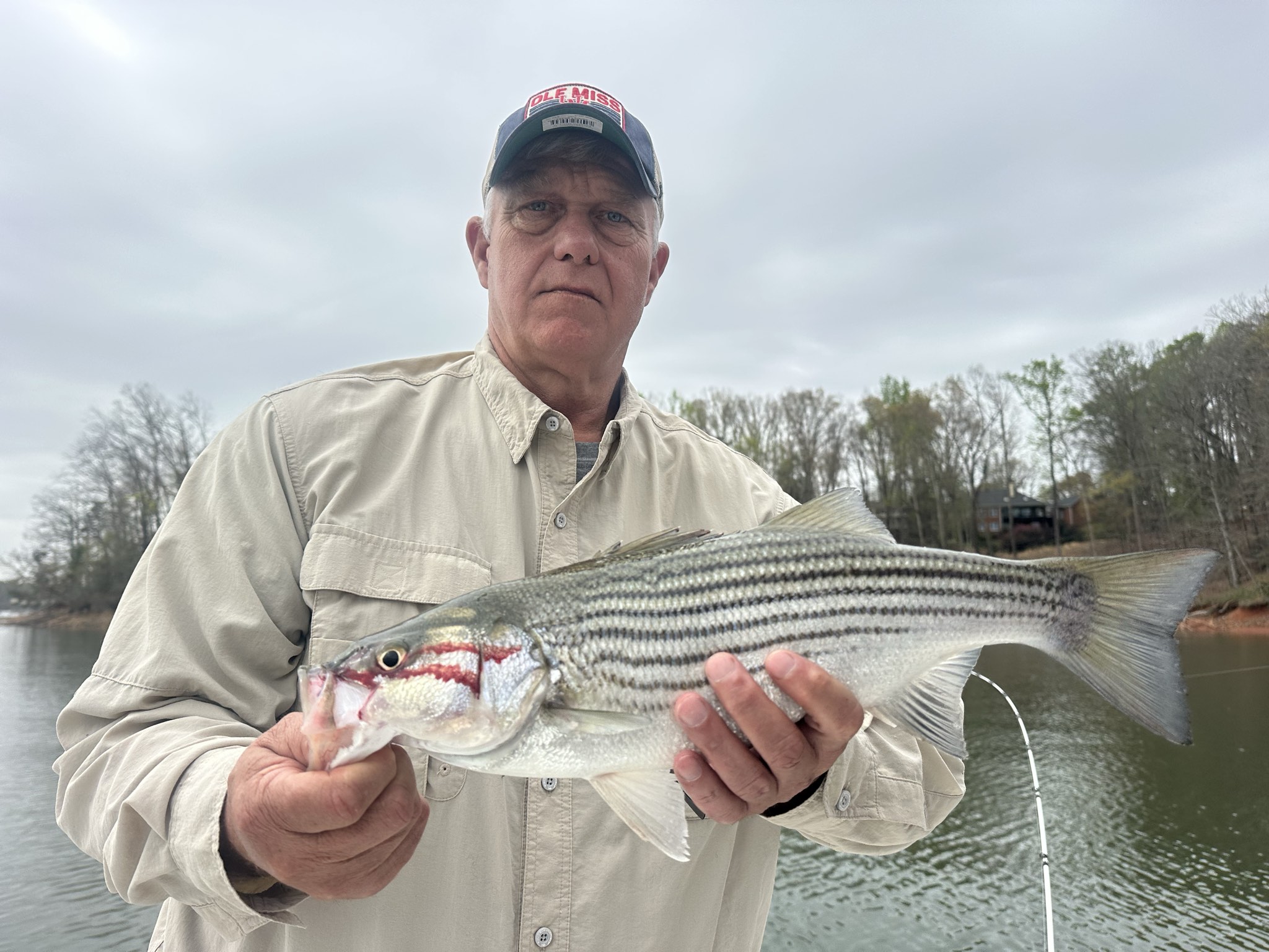 Striped Bass — March 2026
