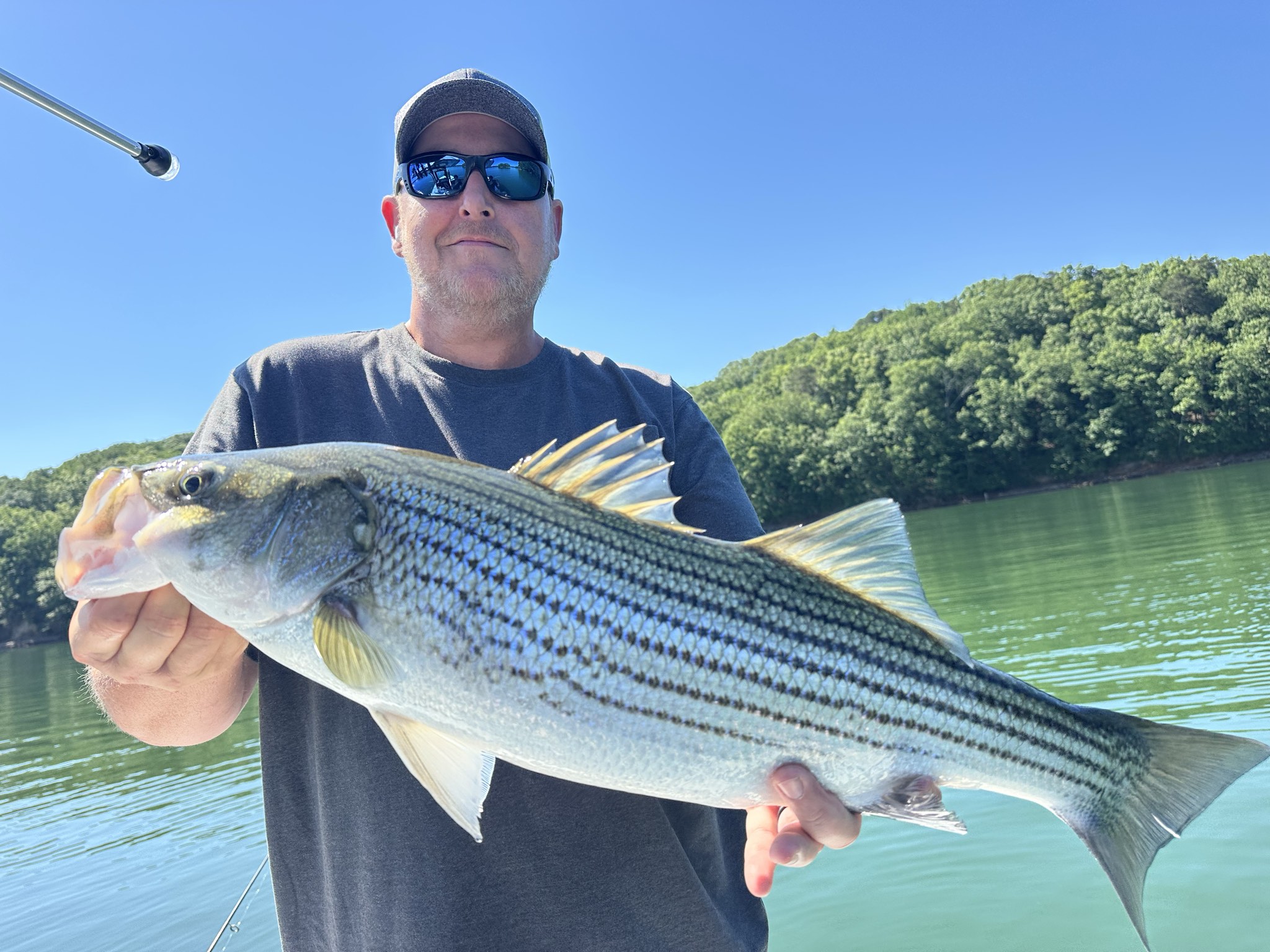 Twenty Fish Day: Striped Bass & Spotted Bass