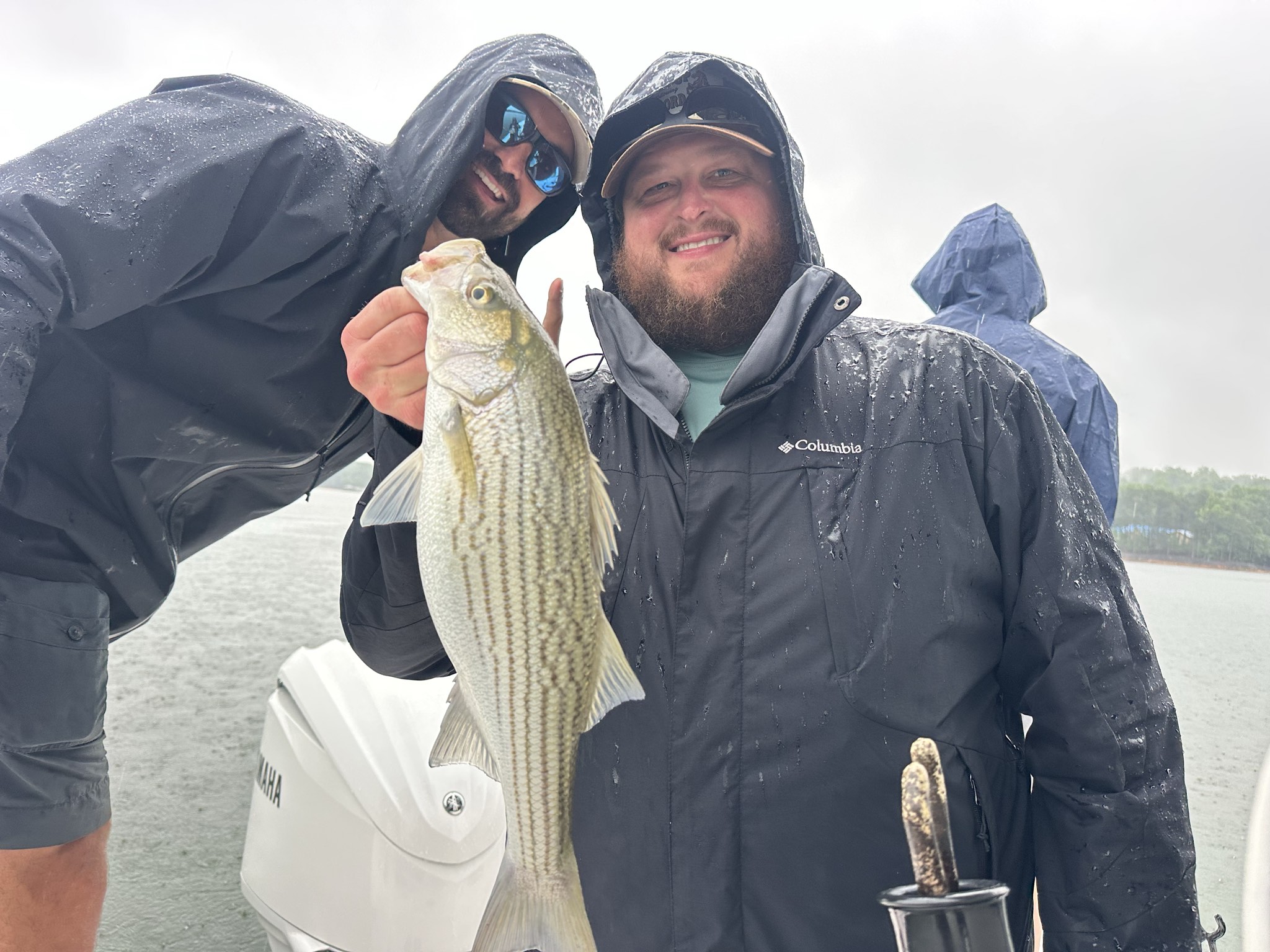 Striped Bass — May 2026