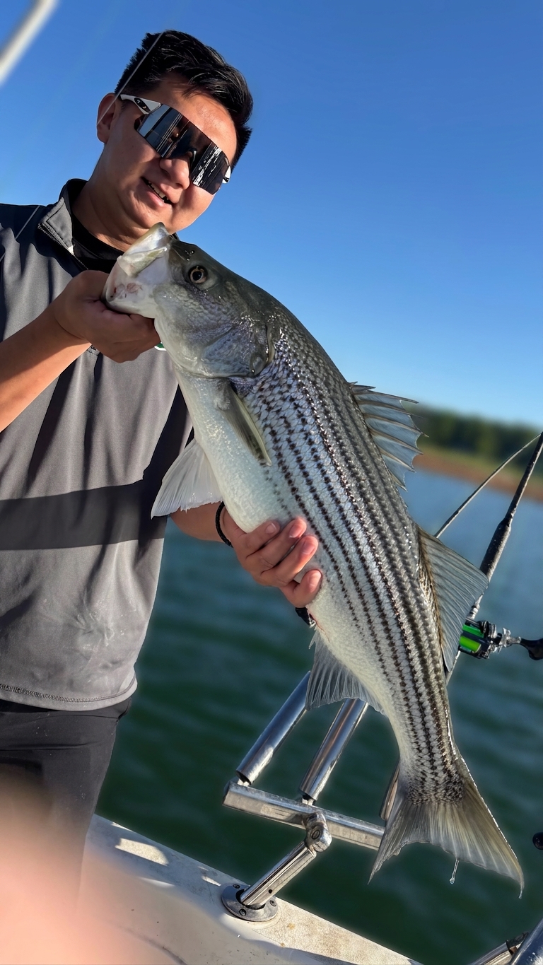 May Largemouth Bass And Catfish On Lake Lanier