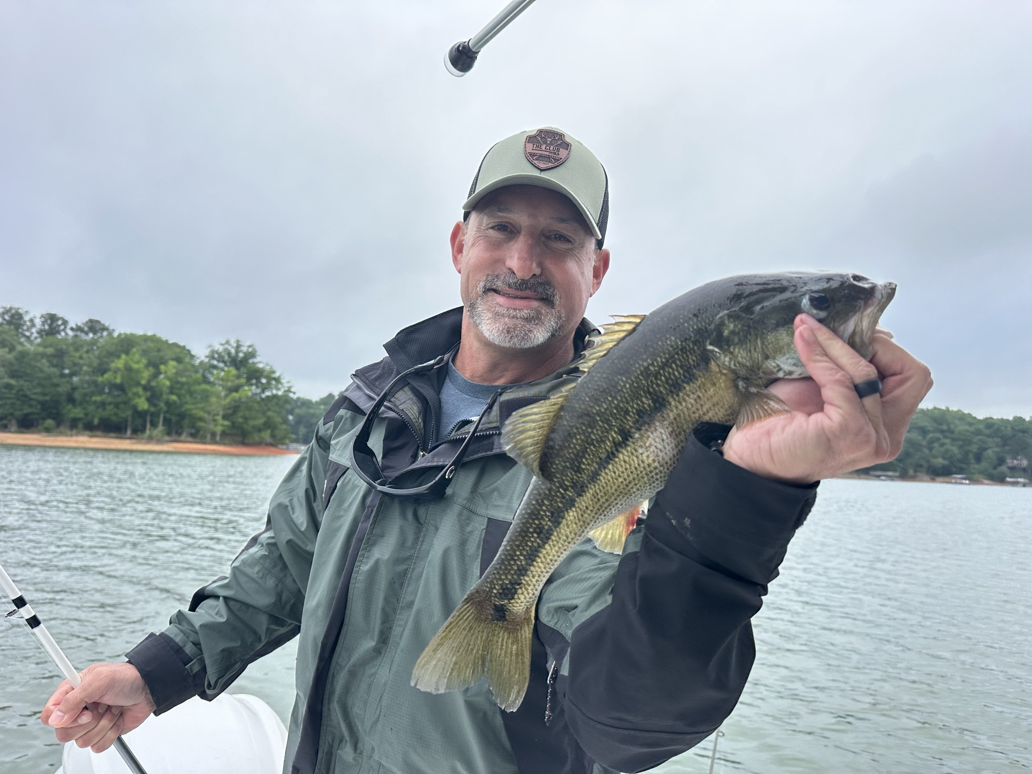 Striped Bass And Spotted Bass Dominate Lake Lanier