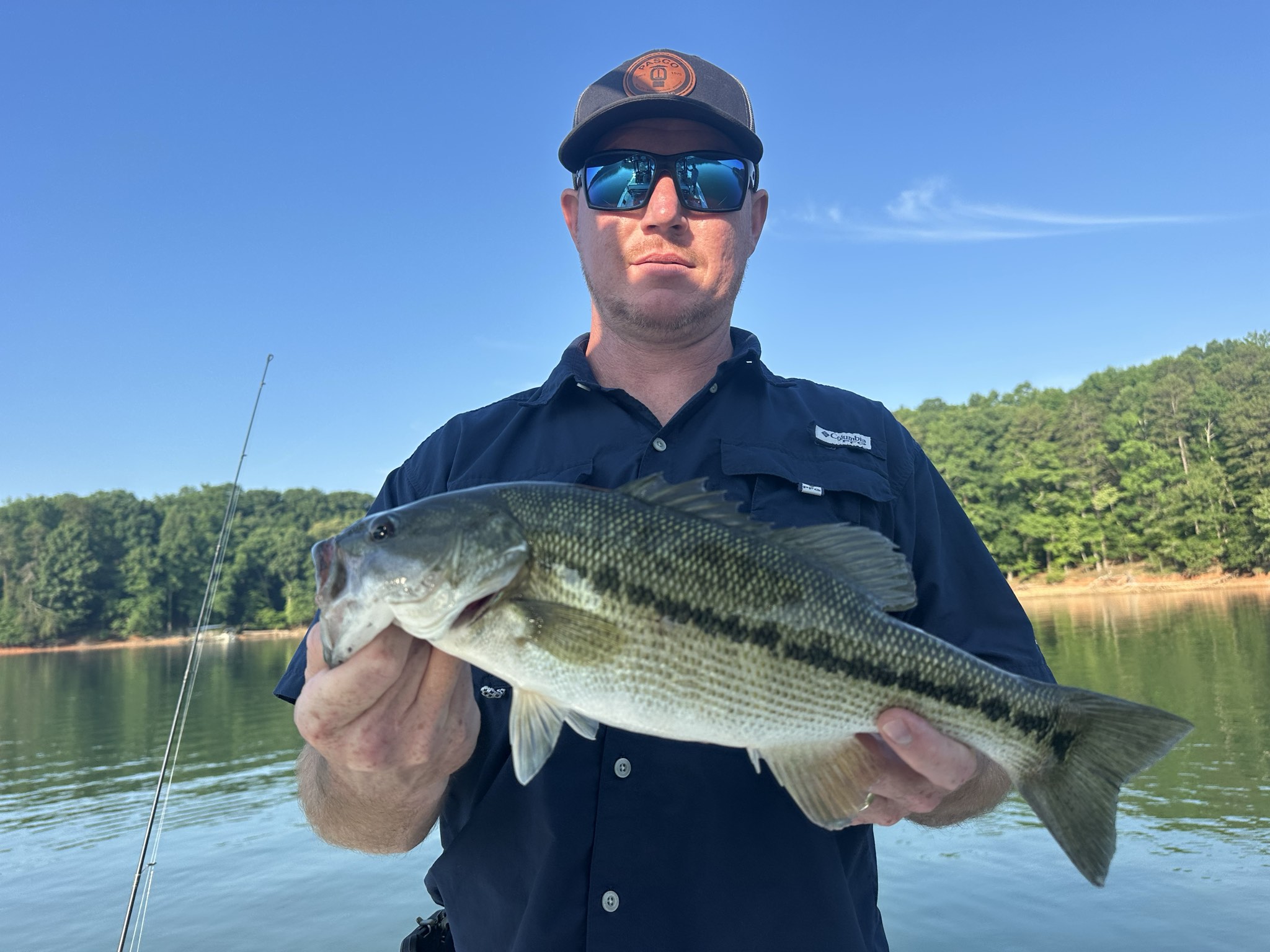 Summer Bass Variety On Lake Lanier