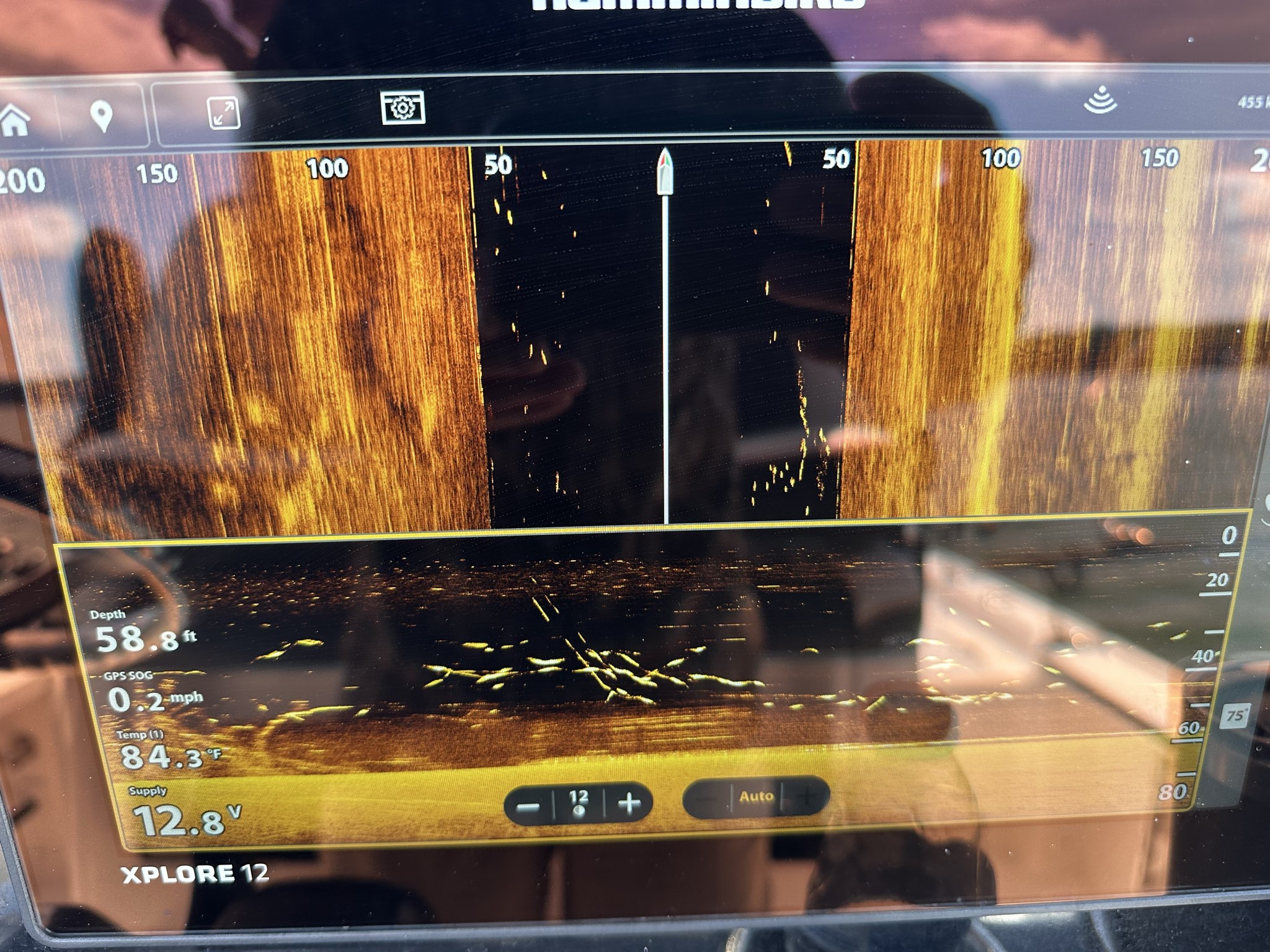Striped Bass — June 2026
