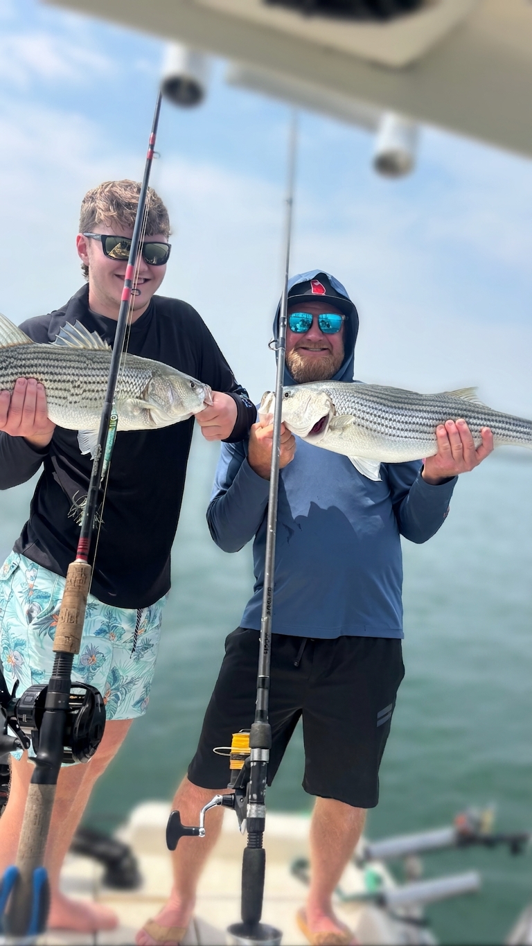 Striped Bass Action on Lake Lanier