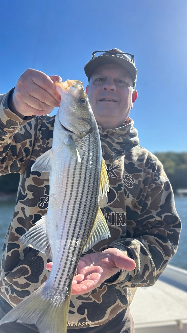 Striped bass caught on Lake Lanier, Oct 25, 2026