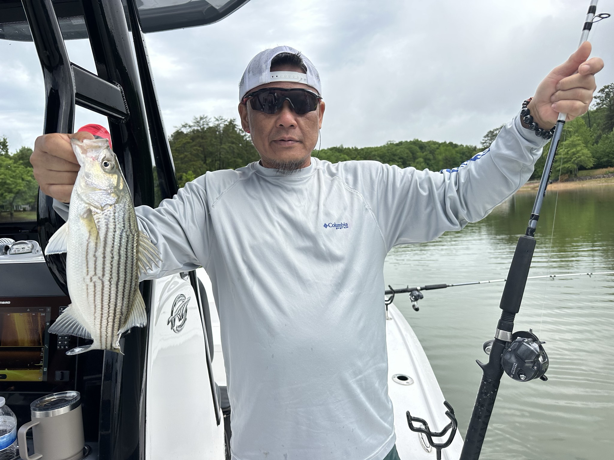 Lake Lanier May Striped Bass Success