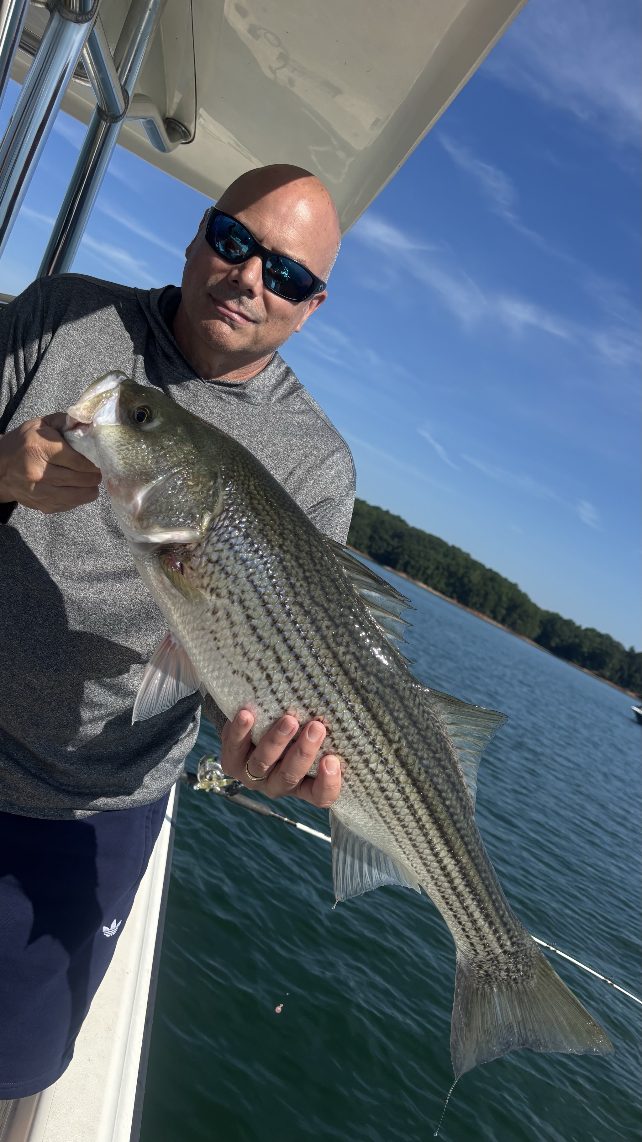 Golden Hour Bass Action on Lake Lanier