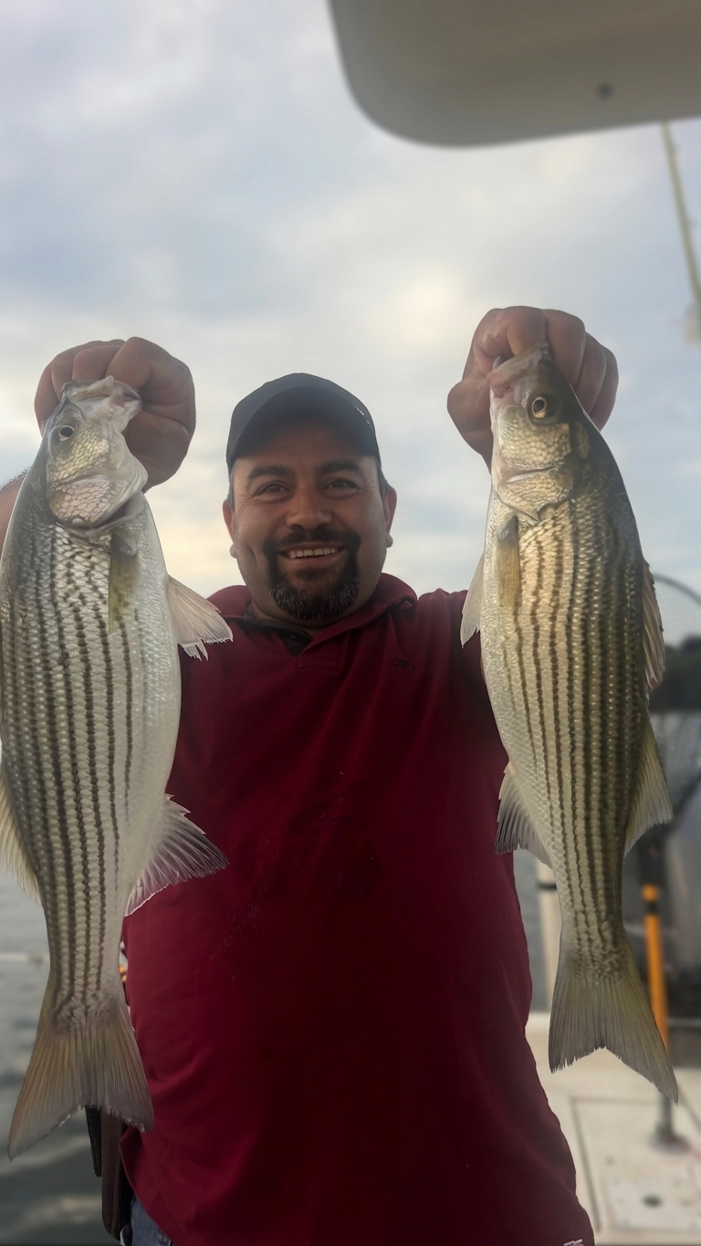 2 striped bass caught on Lake Lanier, Sept 19, 2026