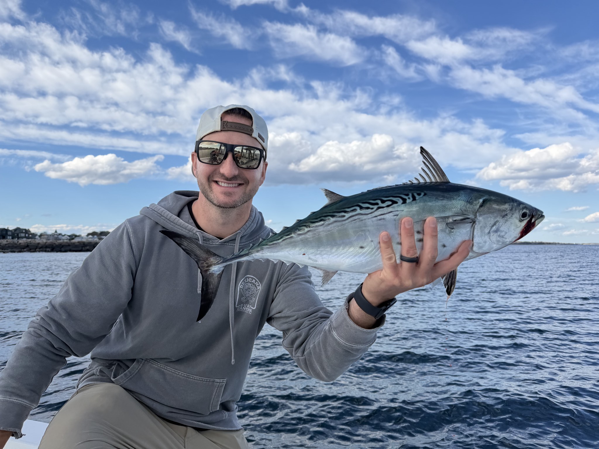 Atlantic bonito caught out of Boston, Oct 8, 2026