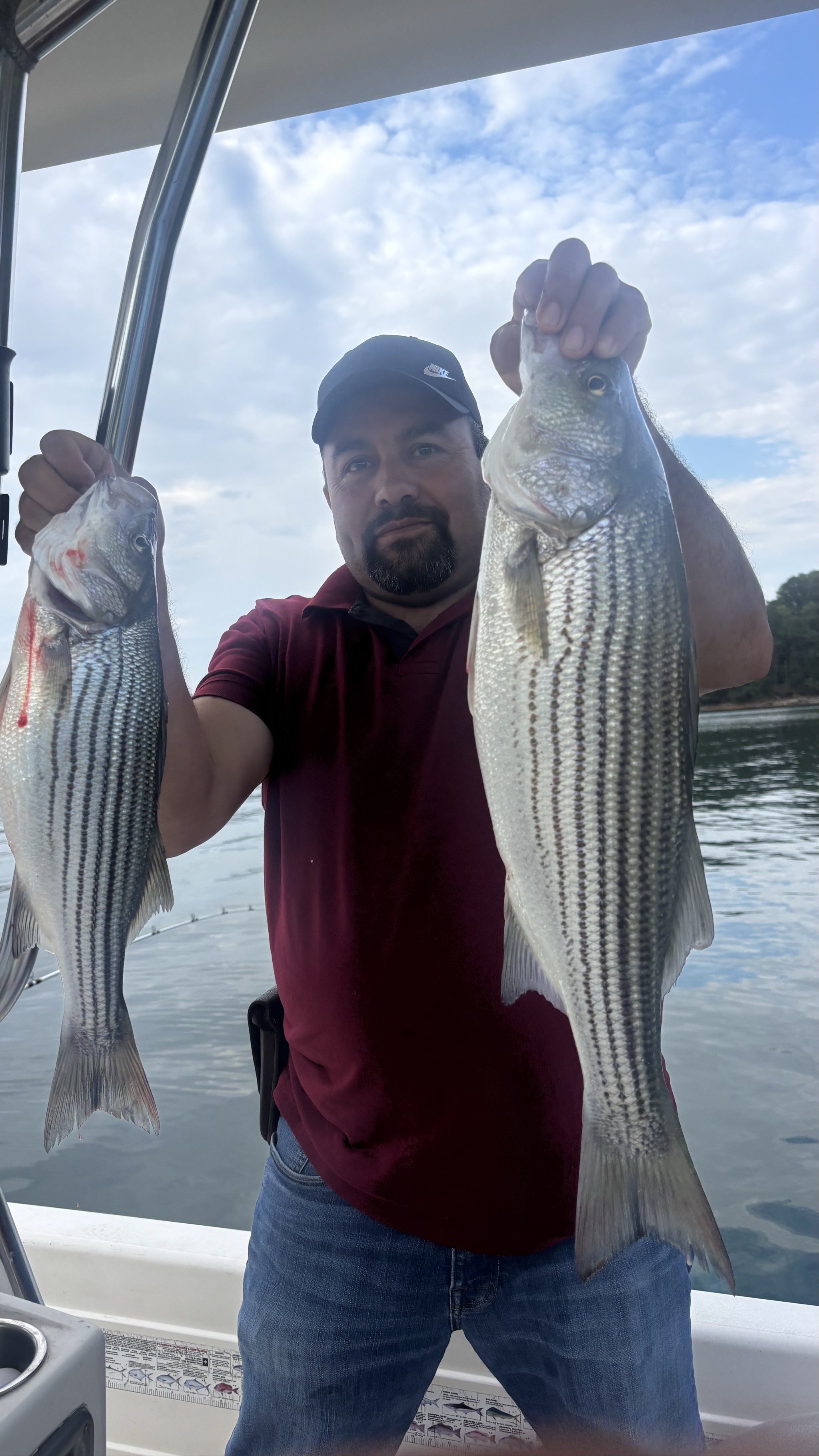 Striped Bass And Gar Action Lake Lanier