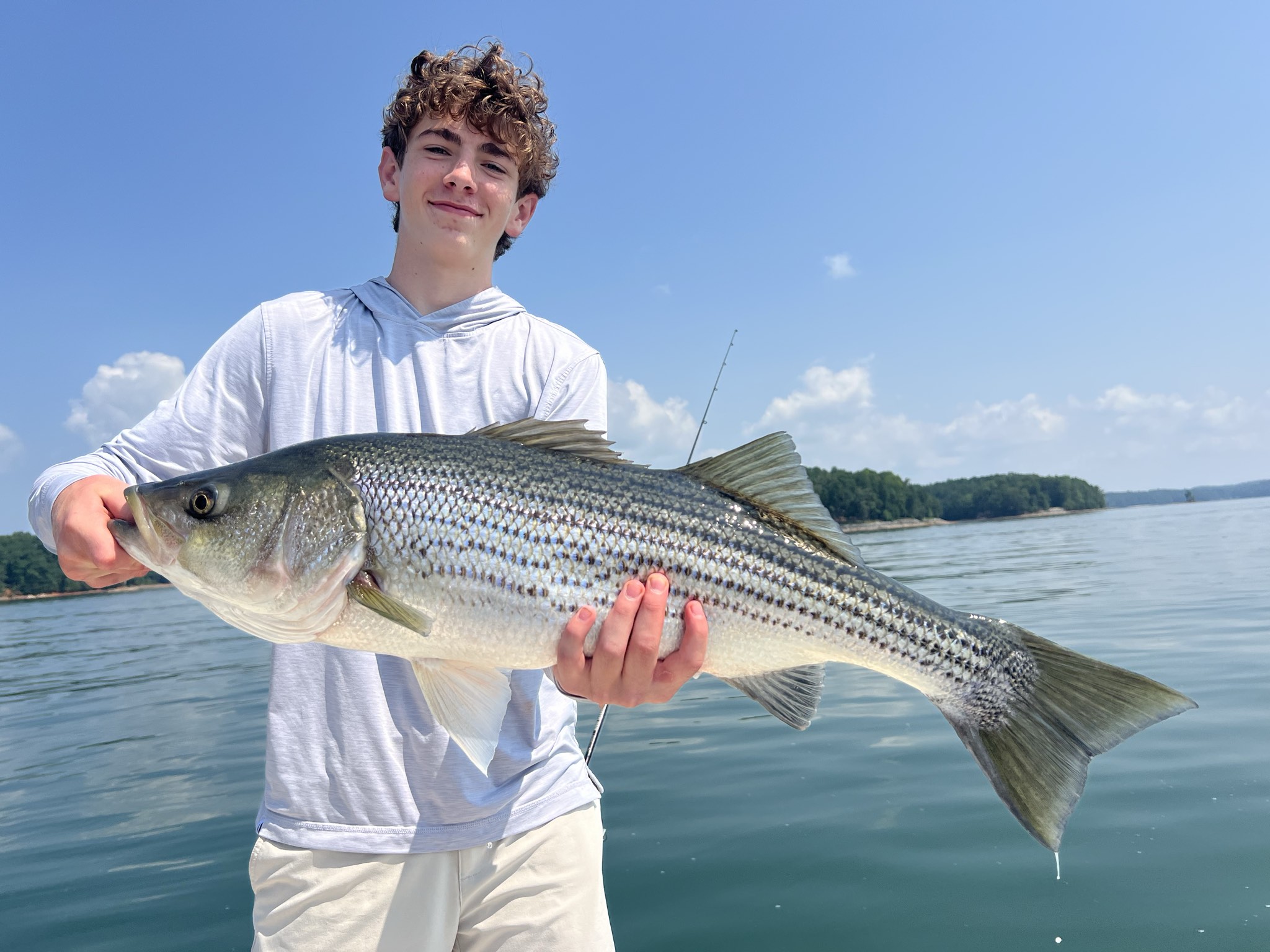 Striped Bass And Spotted Bass Lake Lanier