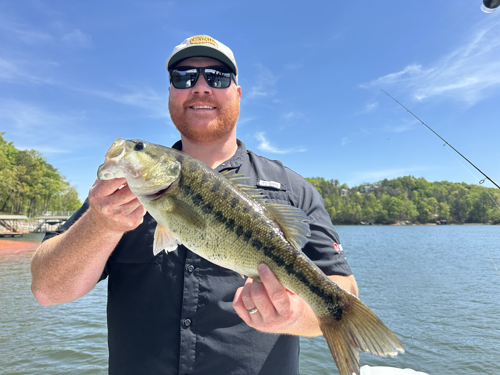 Striped Bass — April 2026