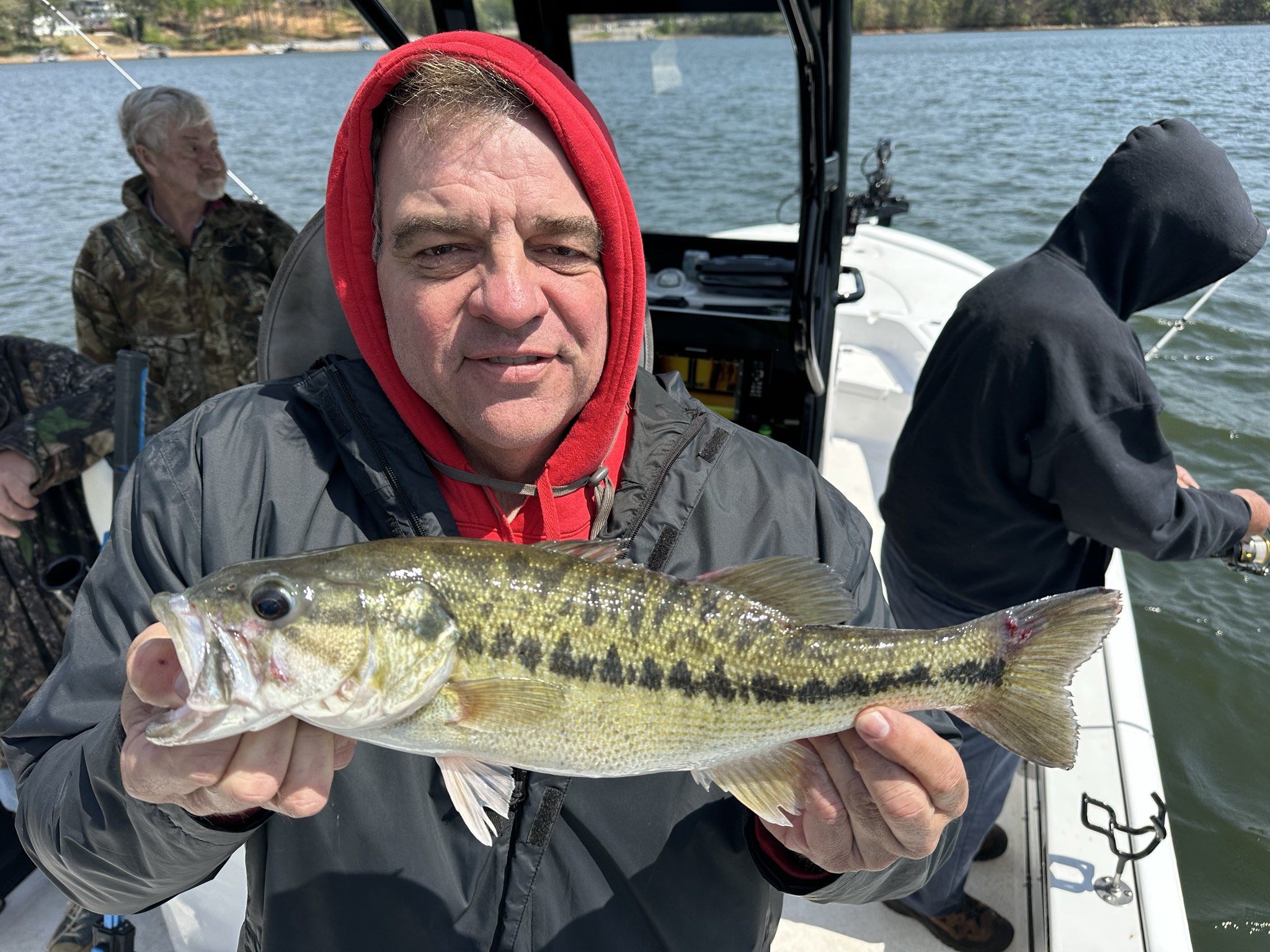 Striped Bass — April 2026