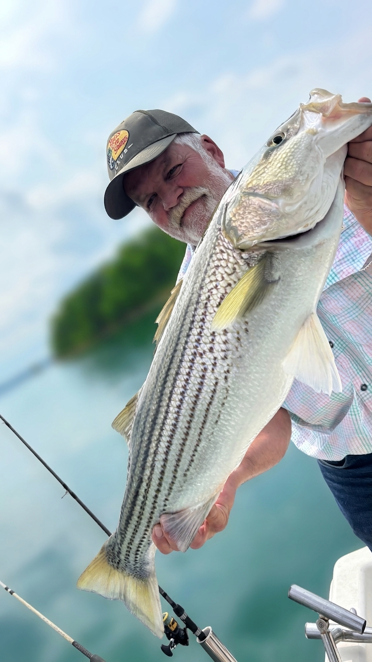 Striped and Spotted Bass Score Lake Lanier