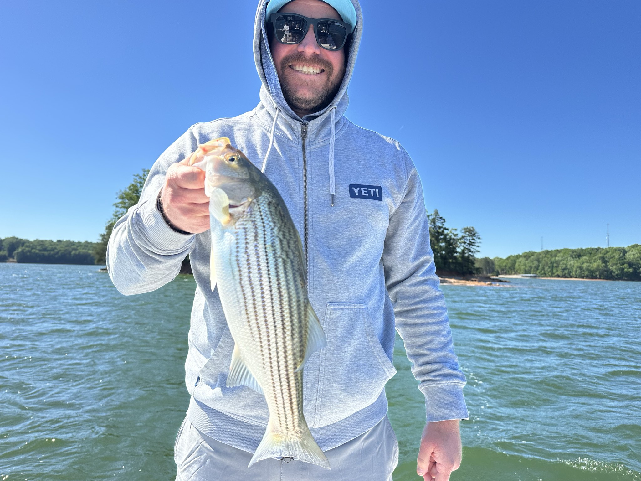 Striped Bass — May 2026