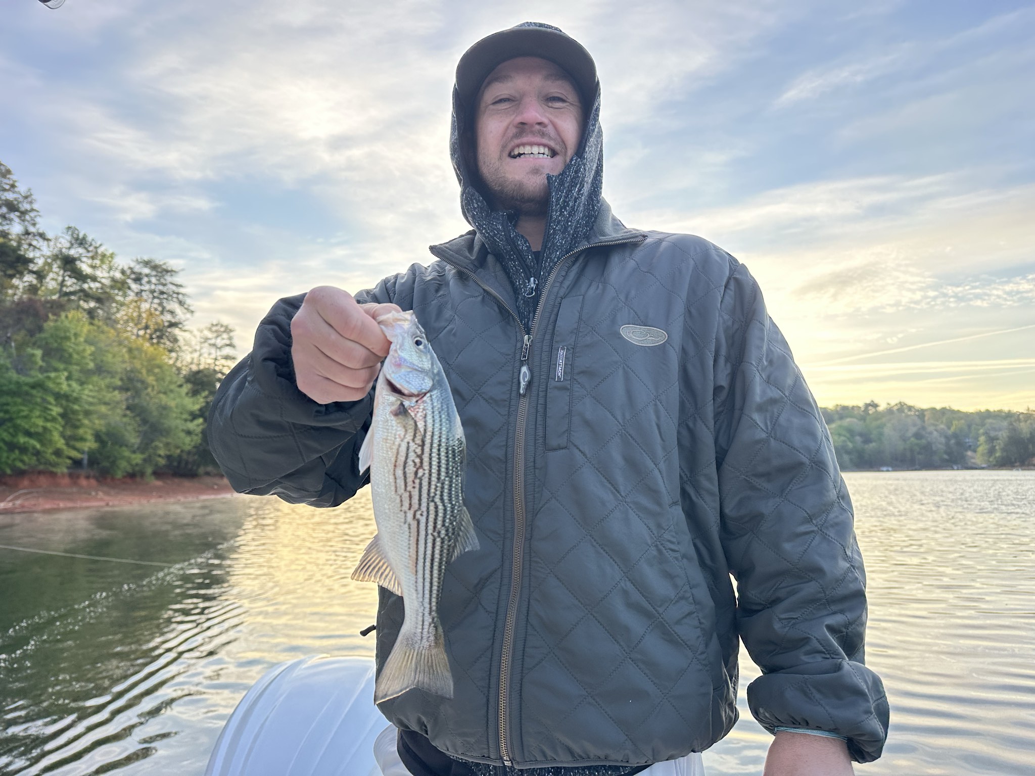 Striped And Spotted Bass Lake Lanier April