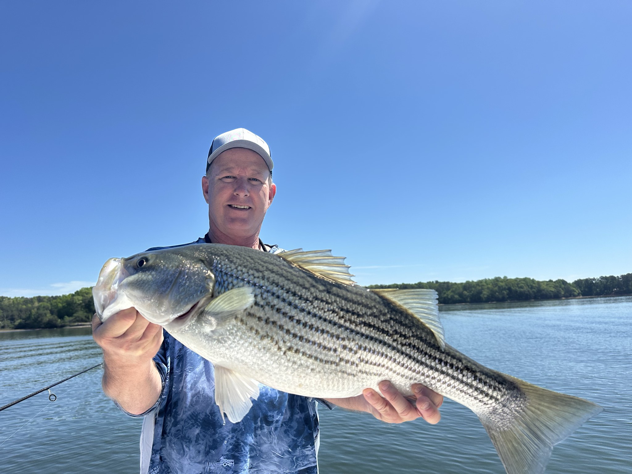 Gainesville, GA Striped Bass — April 2026
