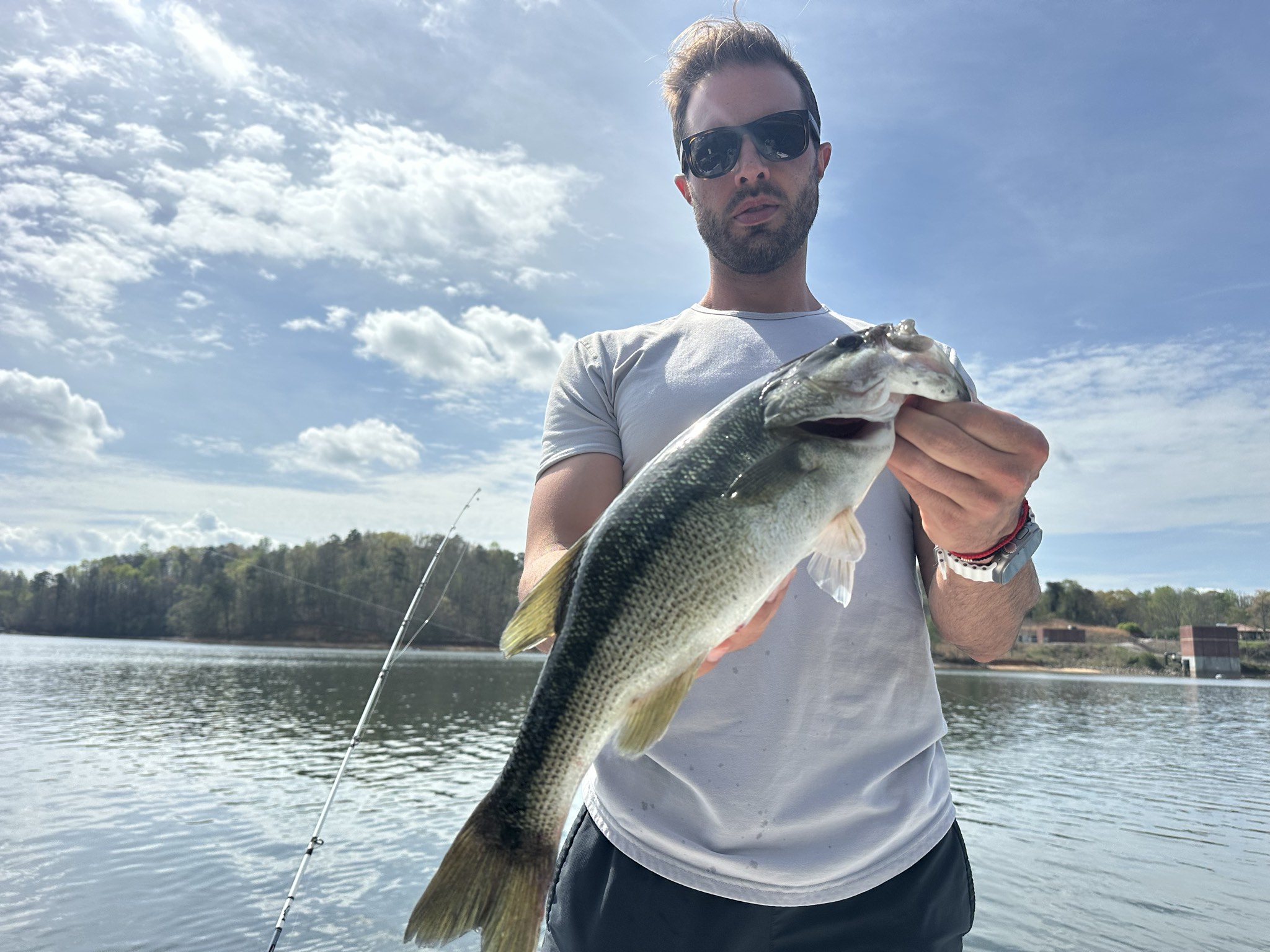 Striped Bass — April 2026