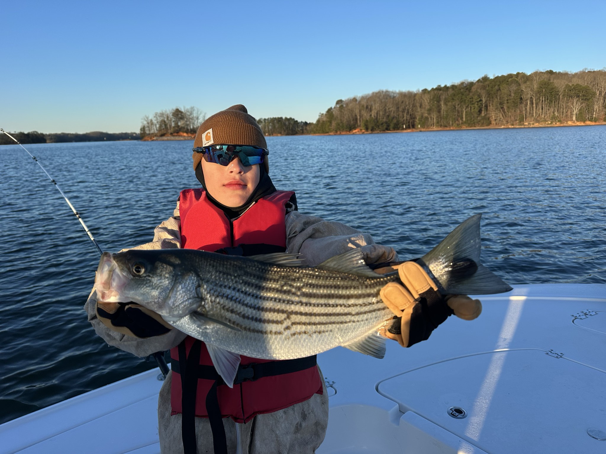 Striped Bass — March 2026