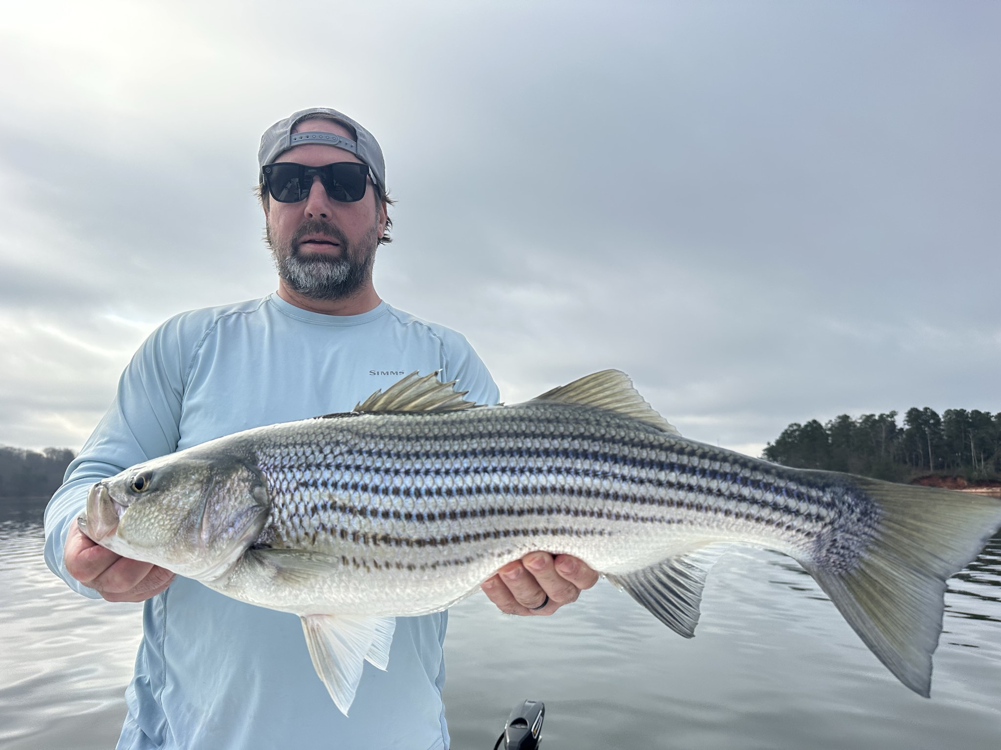 Striped Bass — March 2026