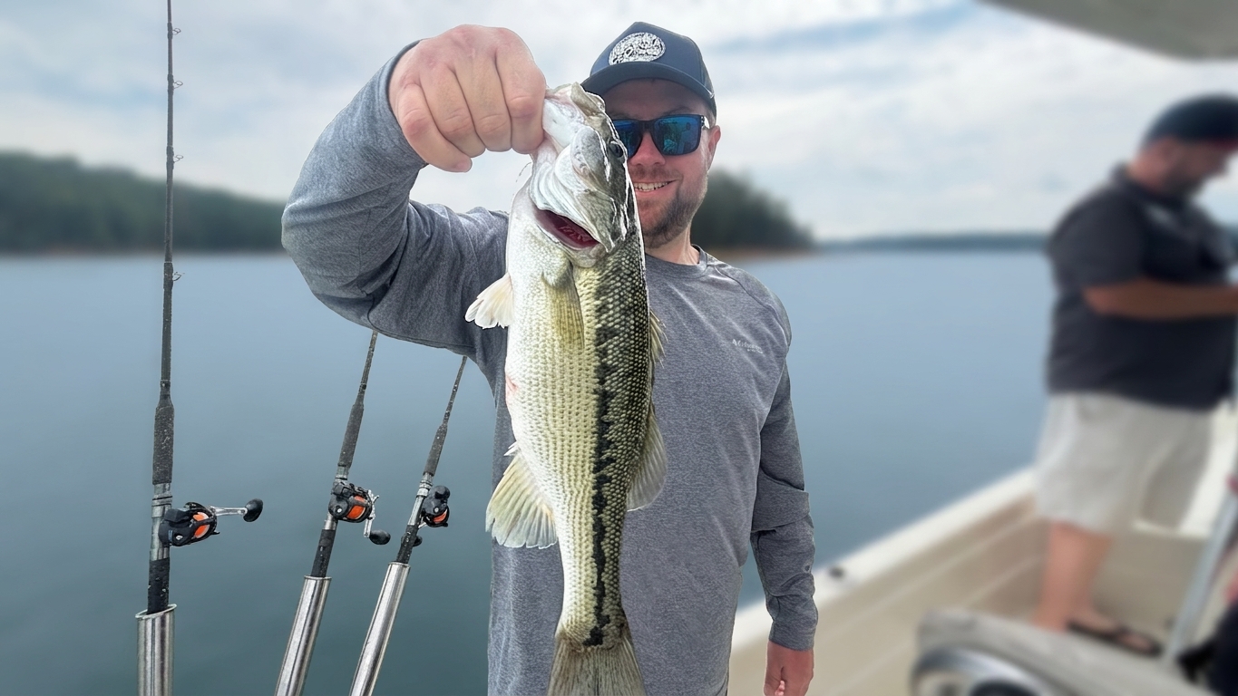 May Striped Bass Bite Lake Lanier