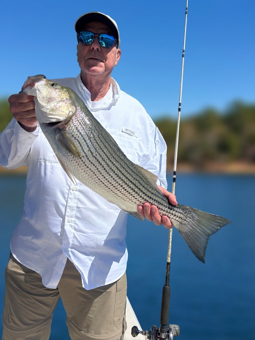 September Striped Bass Action at Lake Lanier