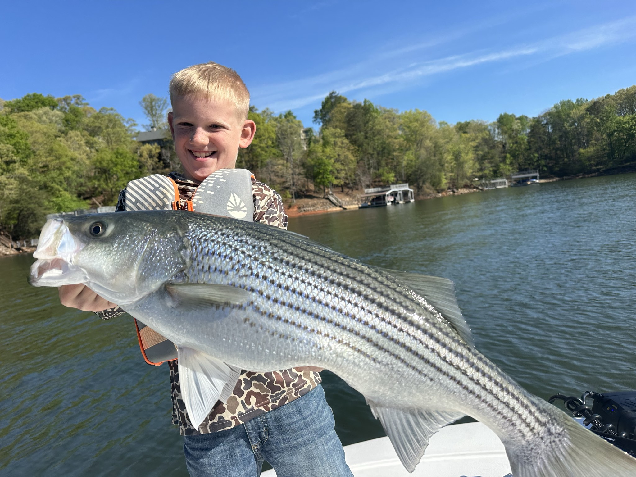 Striped Bass — April 2026