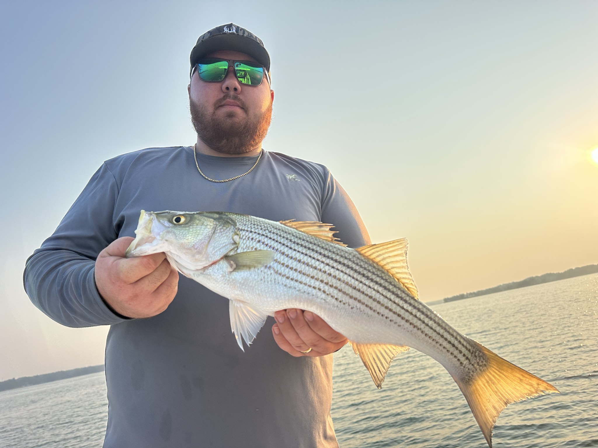 Striped And Spotted Bass Lake Lanier July
