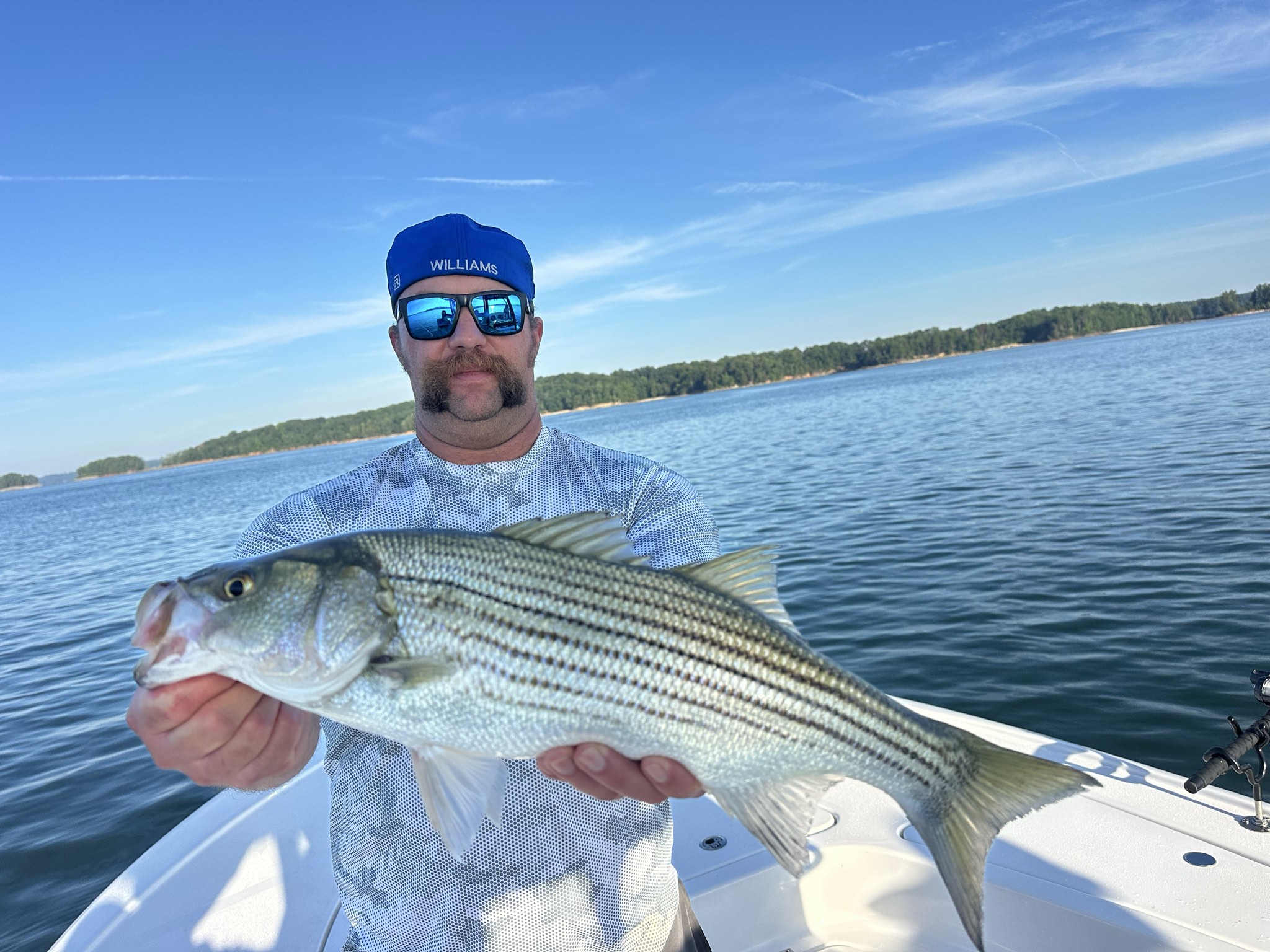 August Striped Bass Action On Lake Lanier