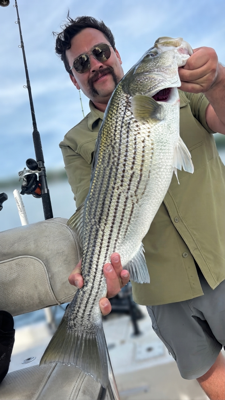 Striped bass caught on Lake Lanier, Oct 8, 2026