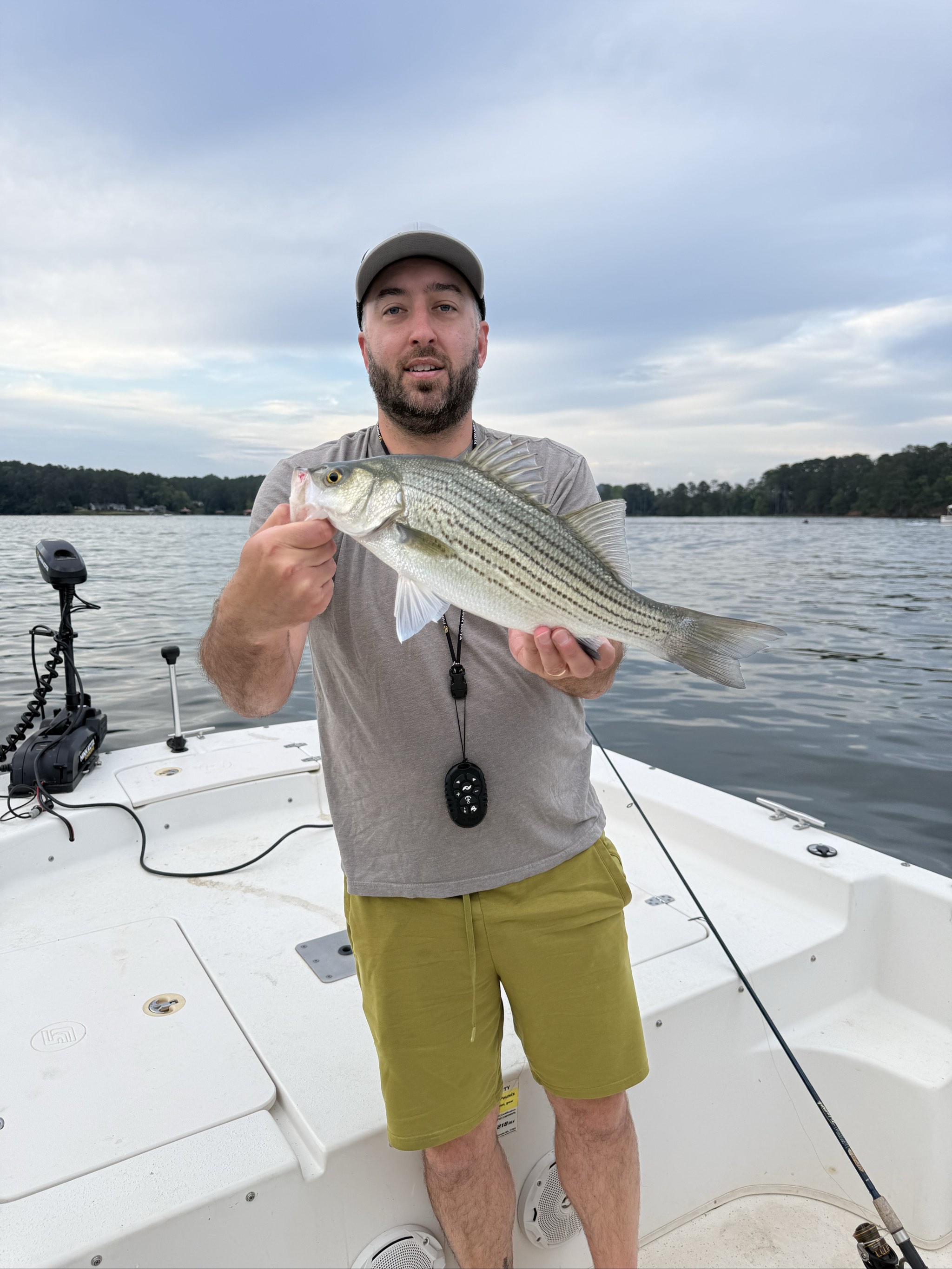 Striped and Spotted Bass Action at Jackson Lake