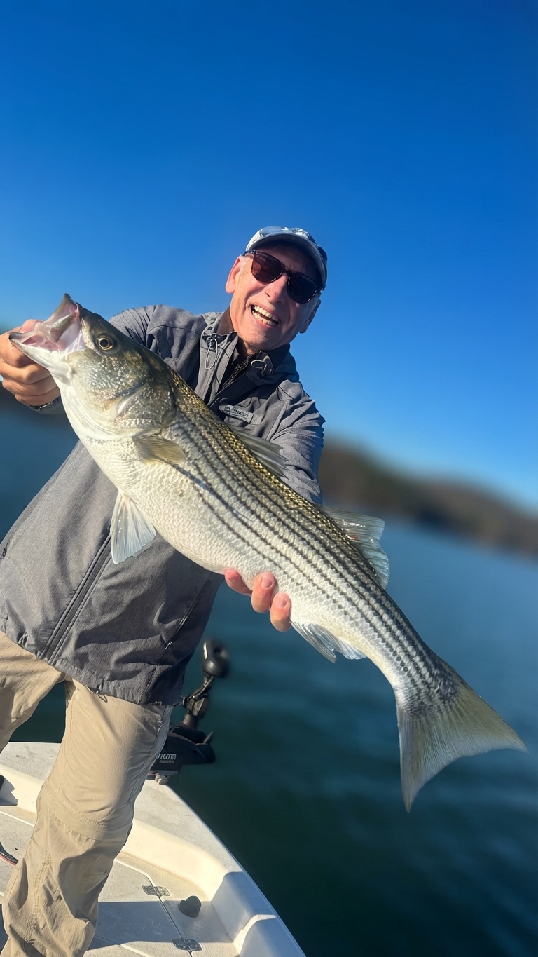 Striped bass caught on Lake Lanier, Oct 21, 2026