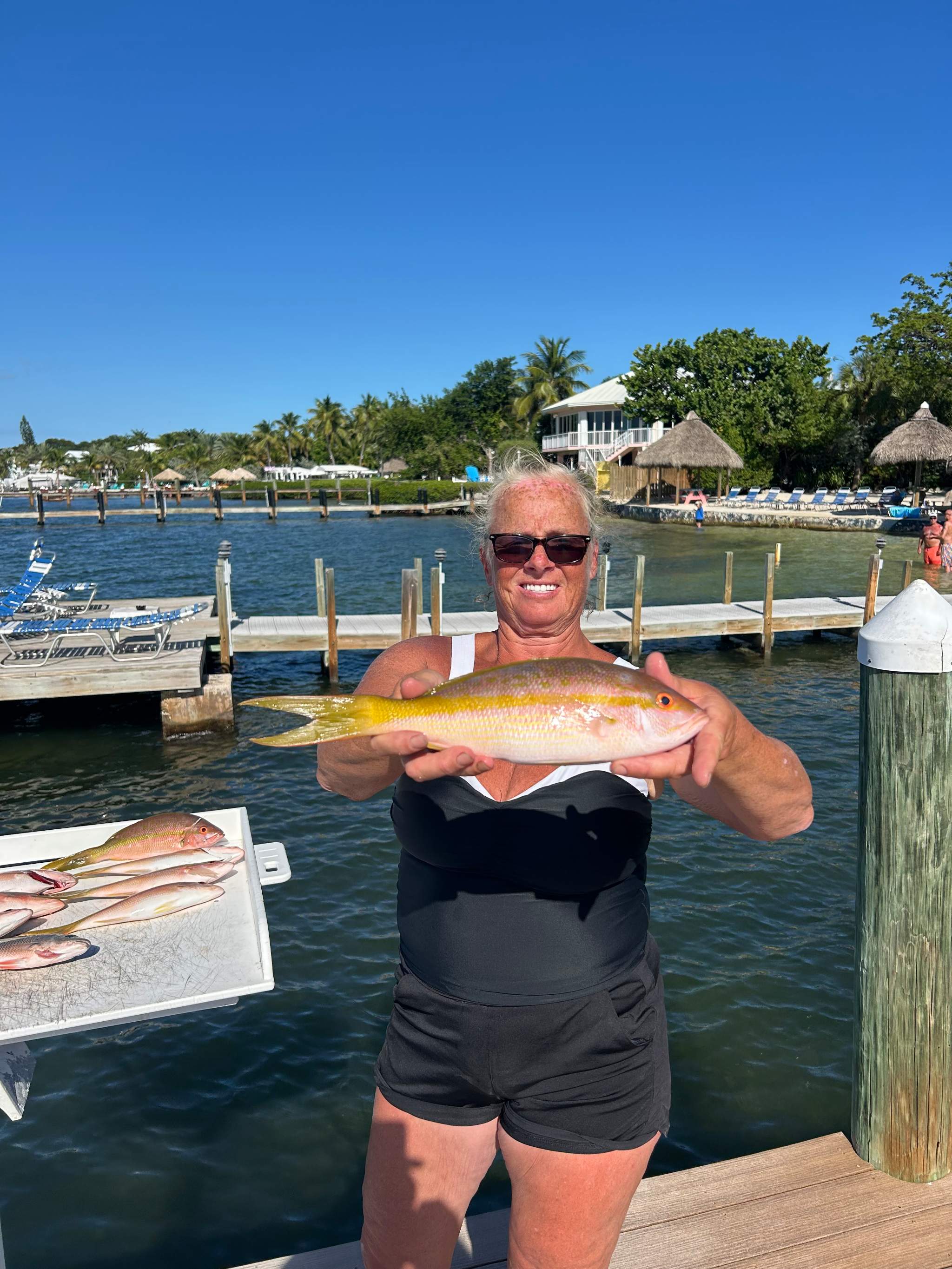 6 yellowtail snapper caught out of Key Largo, Oct 21, 2026