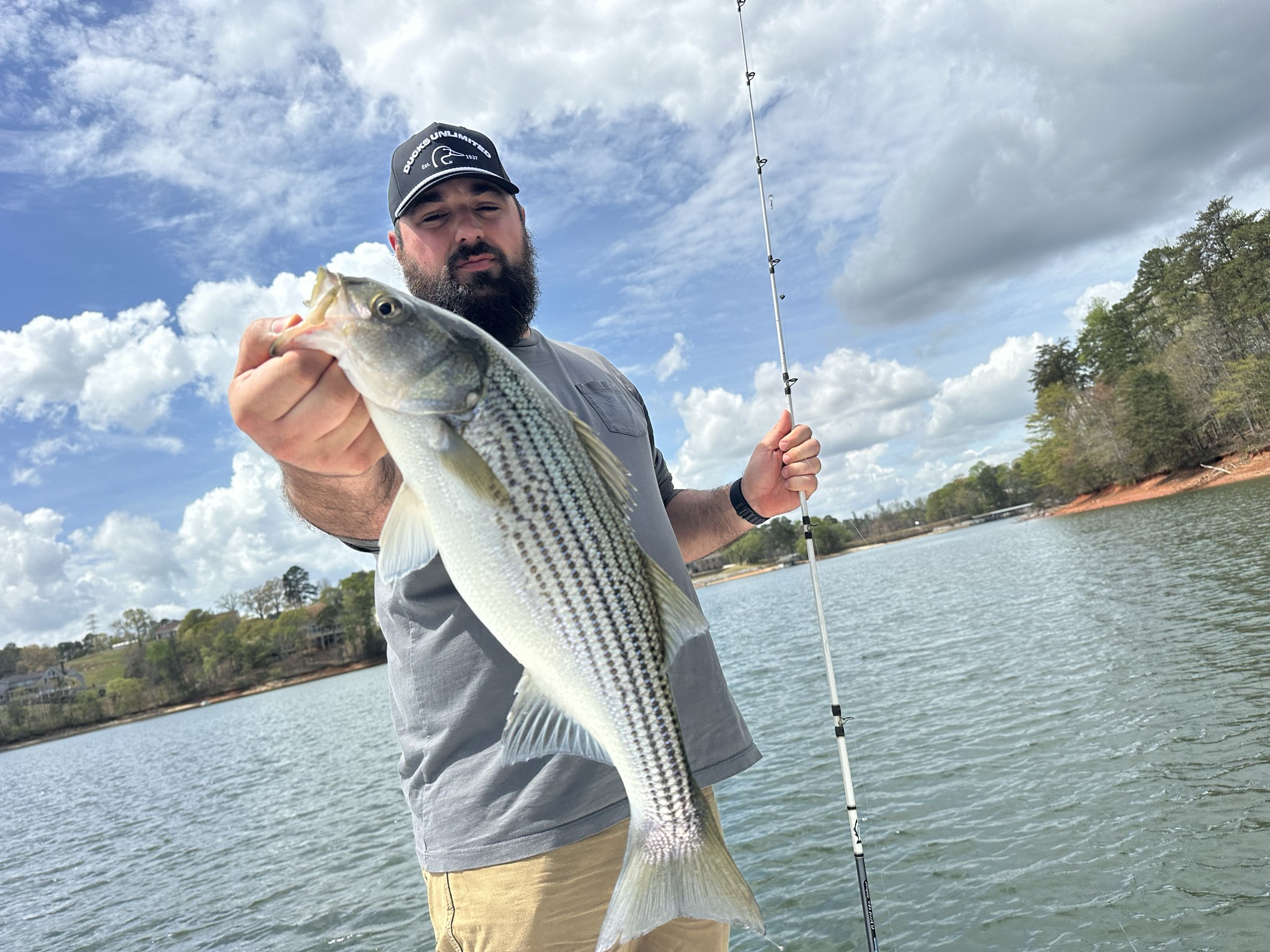 Striped Bass — April 2026