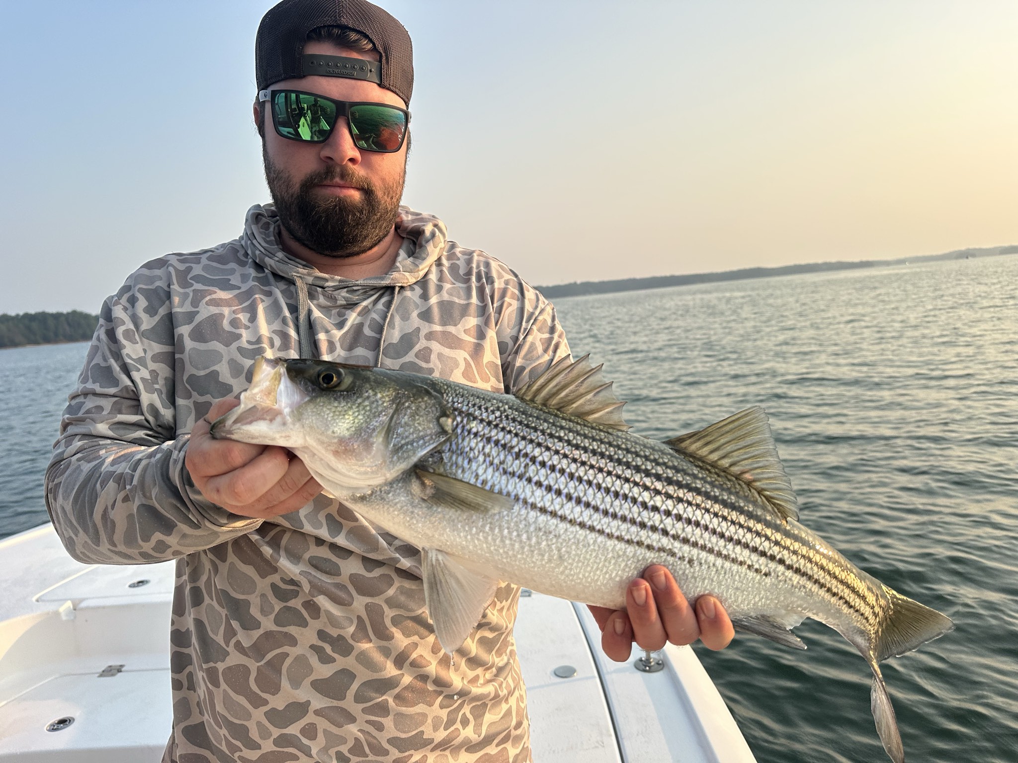 Striped And Spotted Bass Lake Lanier July