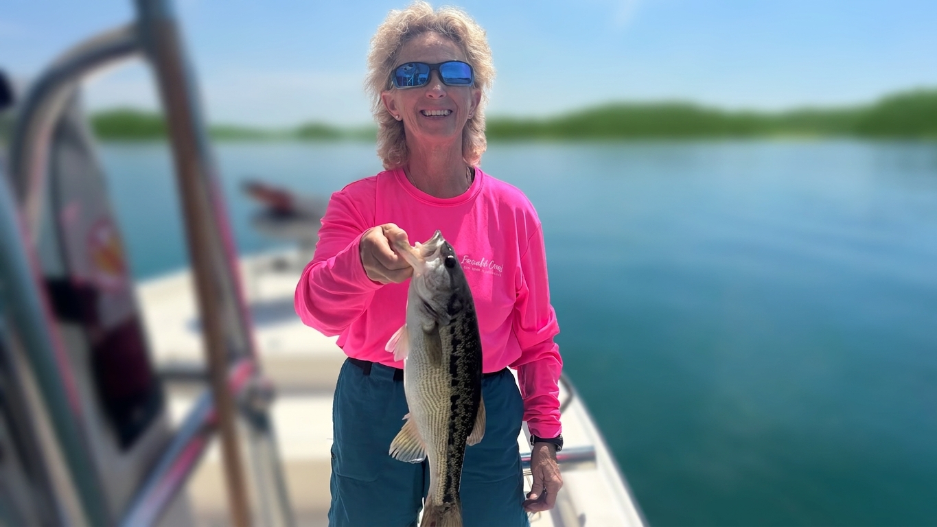 Striped Bass And Spotted Bass Dominate Lake Lanier
