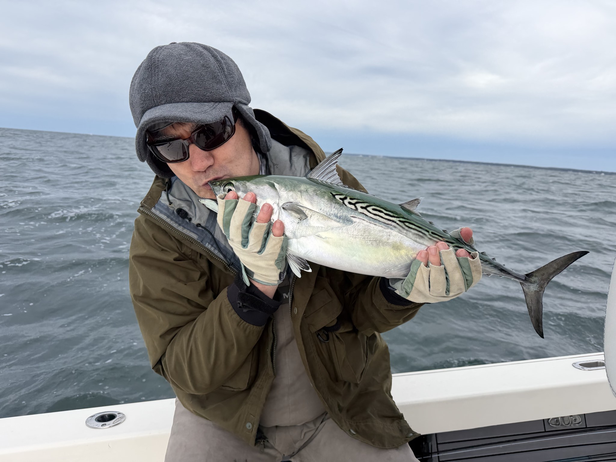 Atlantic bonito caught out of Boston, Oct 11, 2026