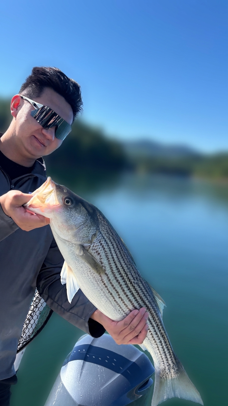 May Largemouth Bass And Catfish On Lake Lanier