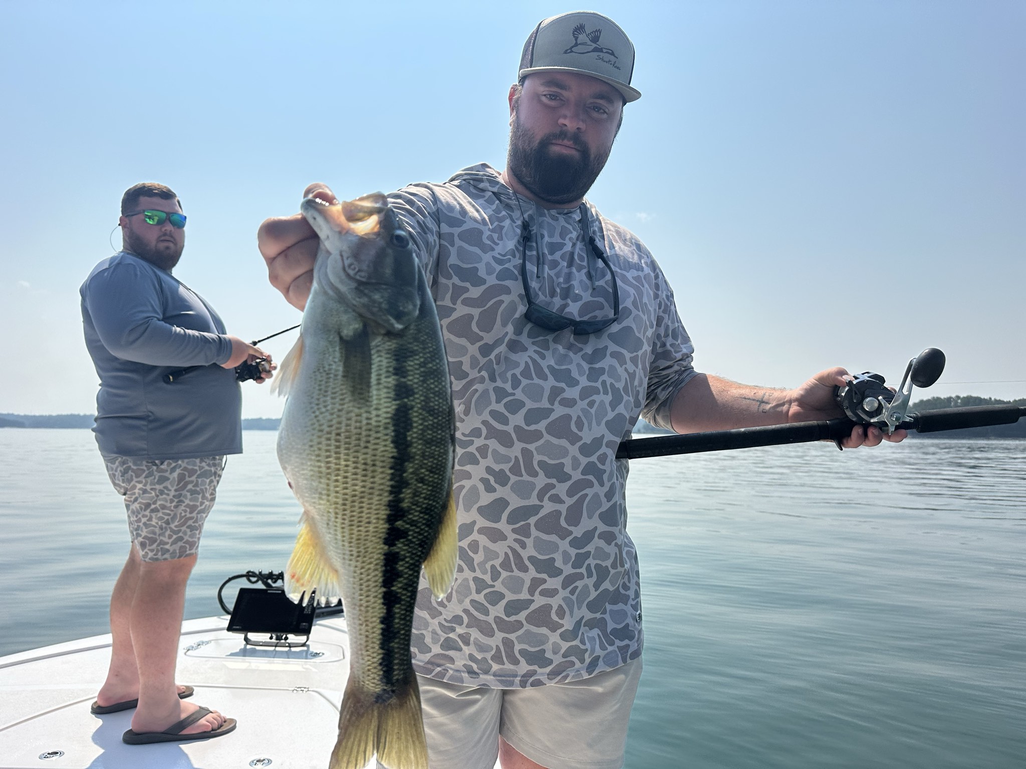 Striped And Spotted Bass Lake Lanier July