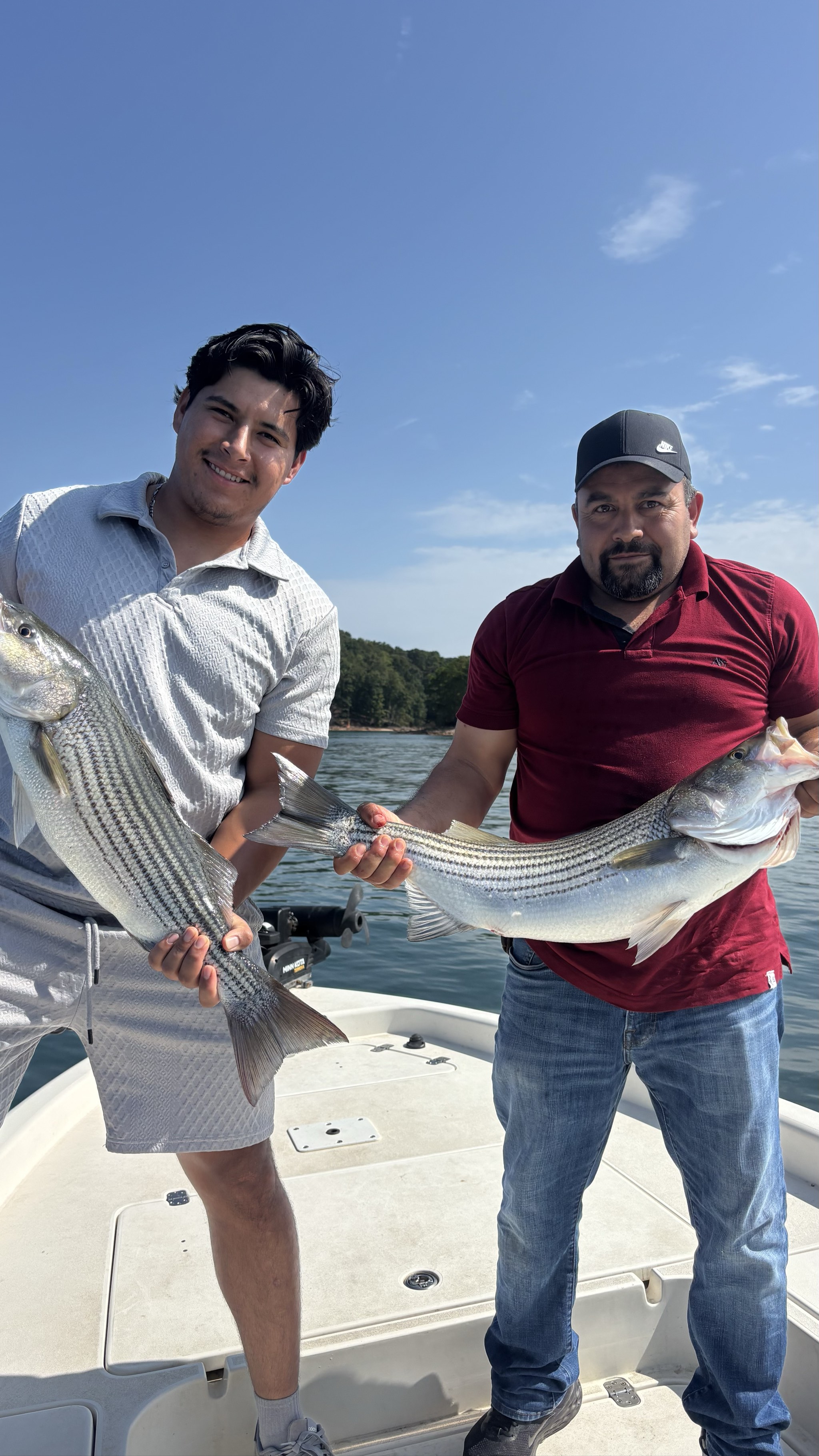 Striped Bass And Gar Action Lake Lanier